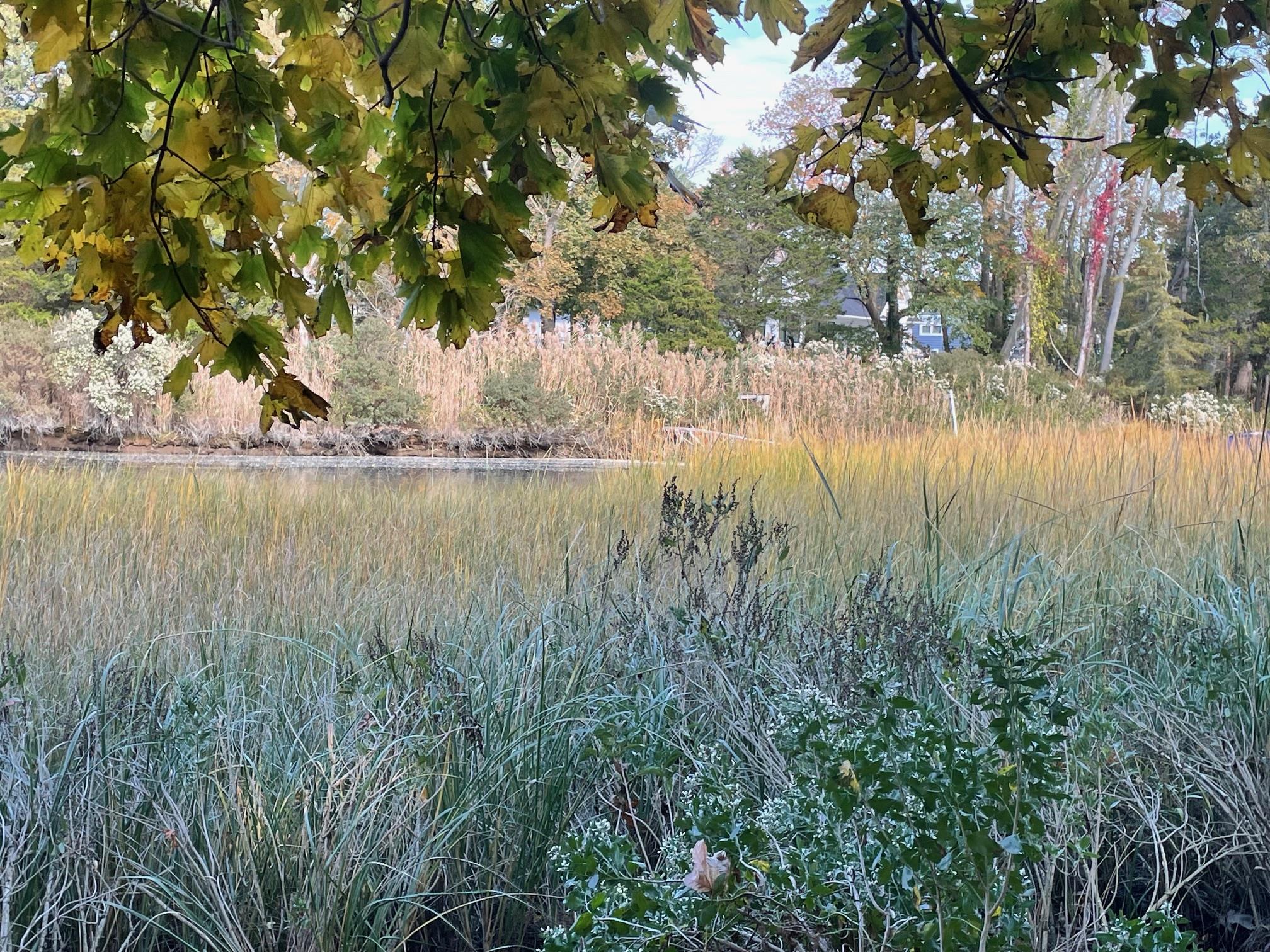 #3 photo, 4077 Main Bayview Road, Southold , NY 11971