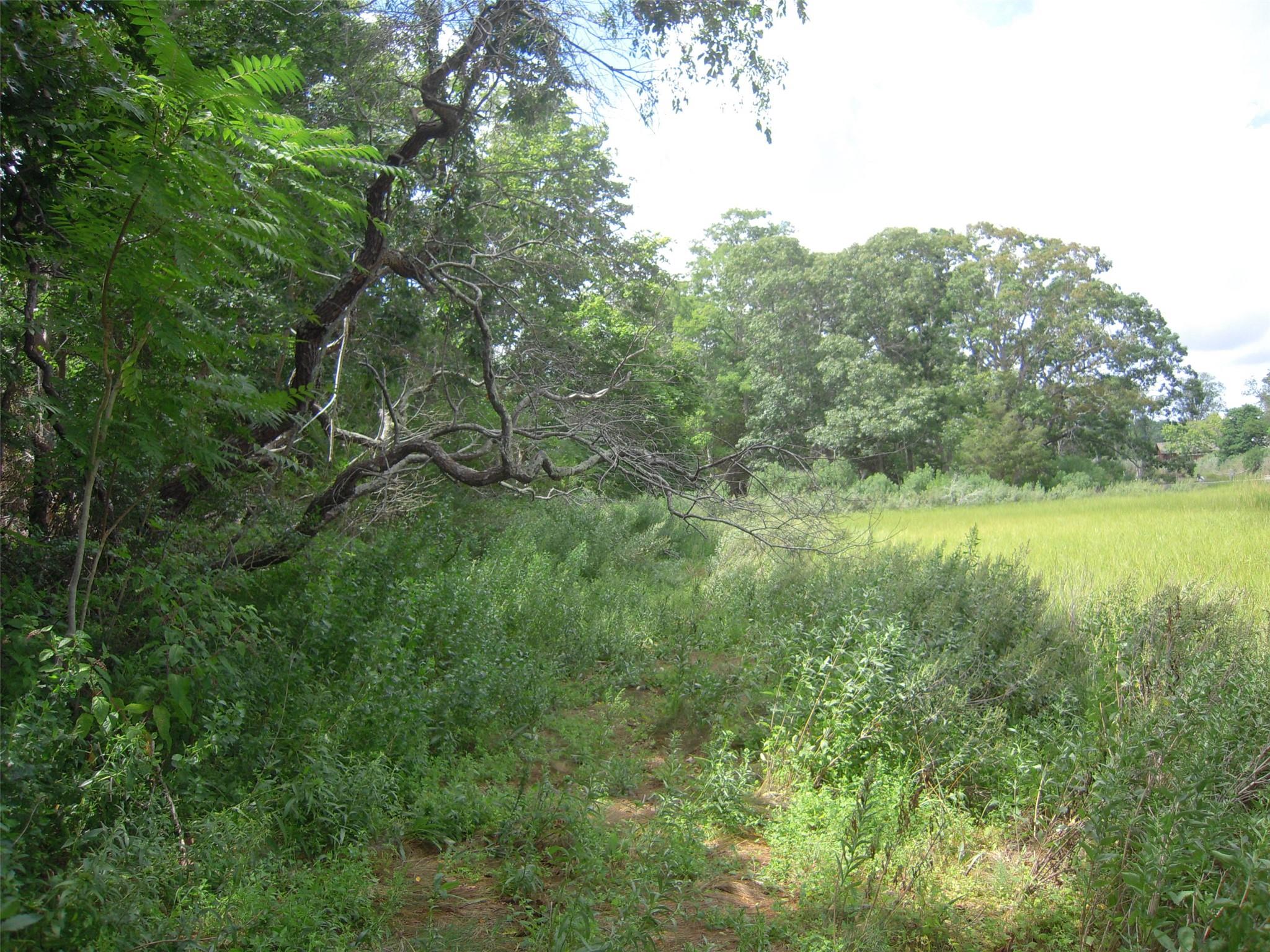 #6 photo, 4077 Main Bayview Road, Southold , NY 11971