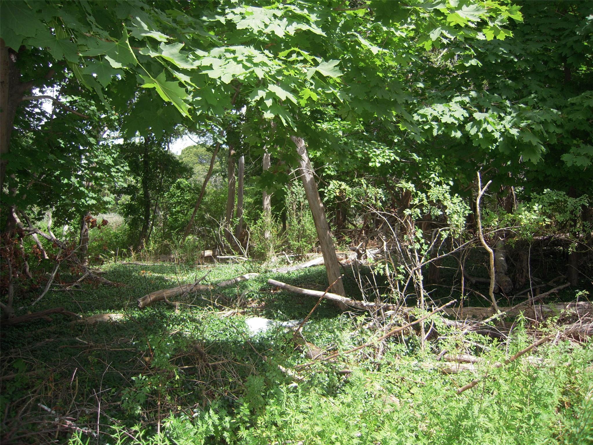 #7 photo, 4077 Main Bayview Road, Southold , NY 11971