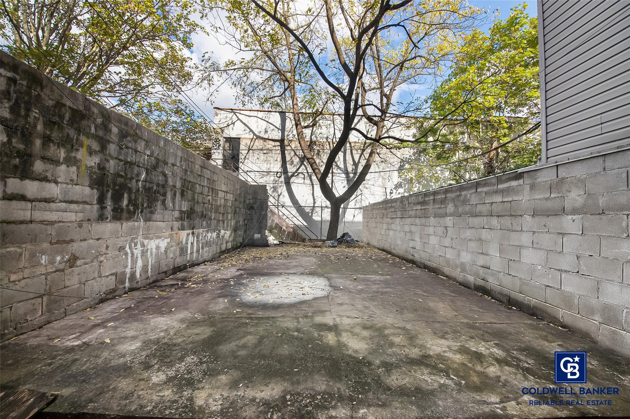 #11 photo, 35 Herkimer Street, ブルックリン区 Brooklyn , NY 11216