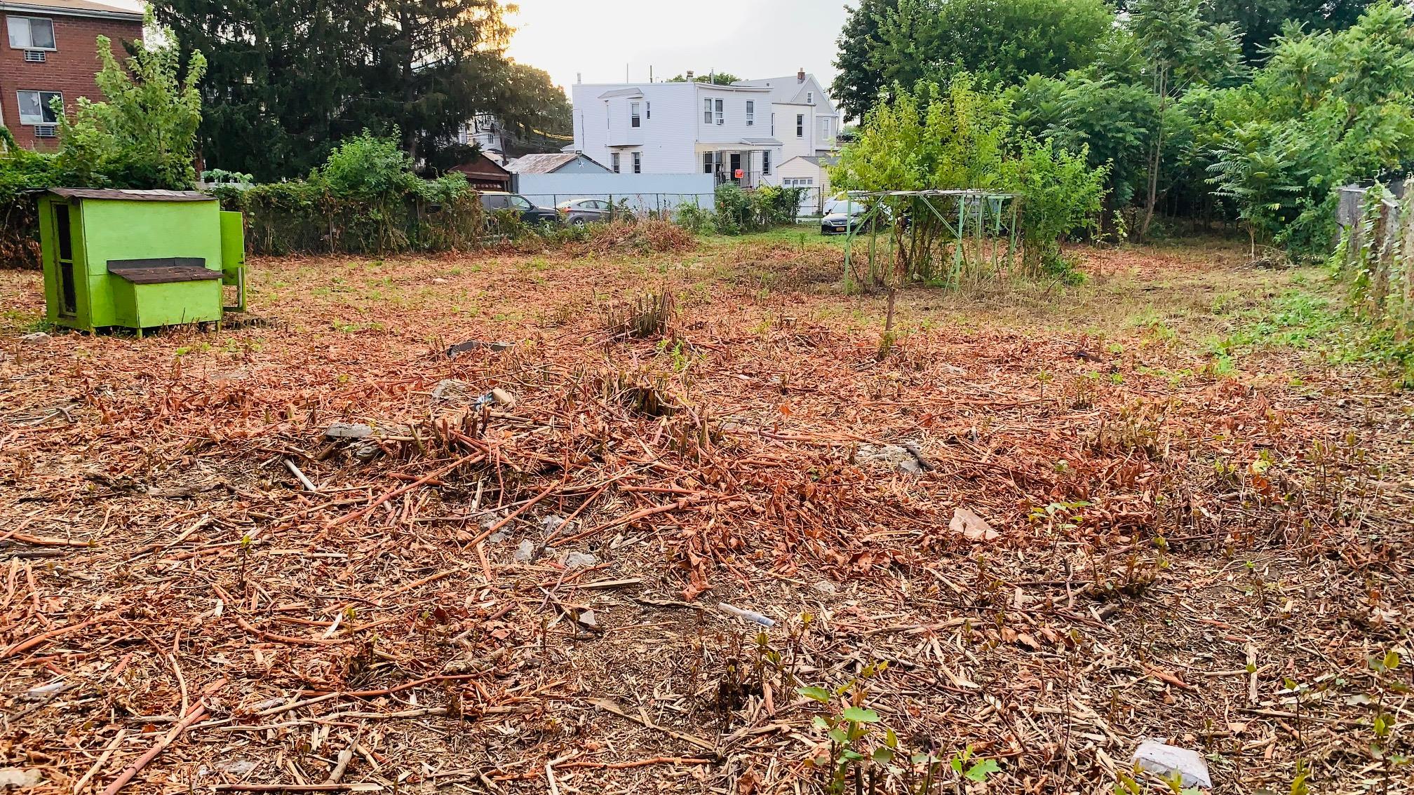 #5 photo, 57-43 Mazeau Street, クイーンズ区 Maspeth , NY 11378