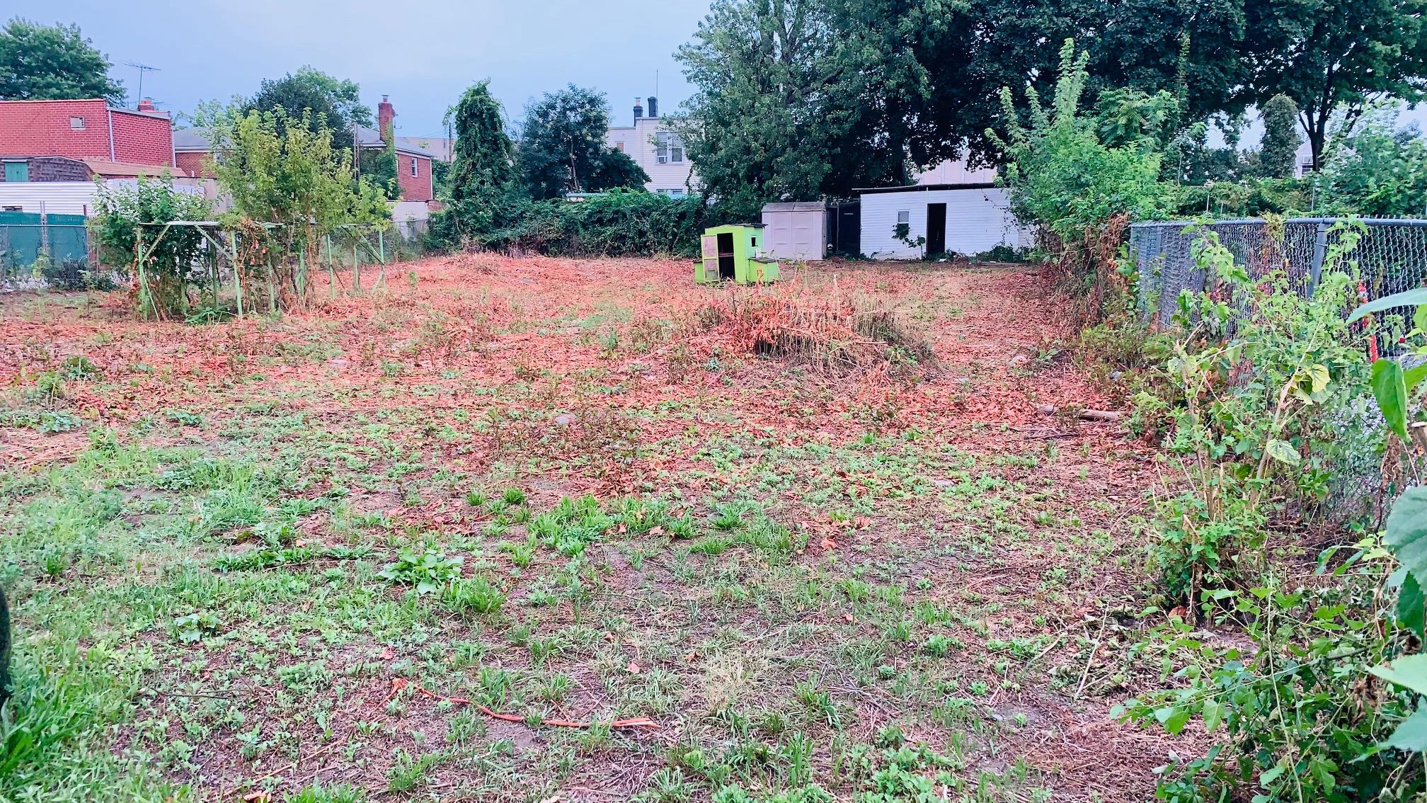 #6 photo, 57-43 Mazeau Street, クイーンズ区 Maspeth , NY 11378