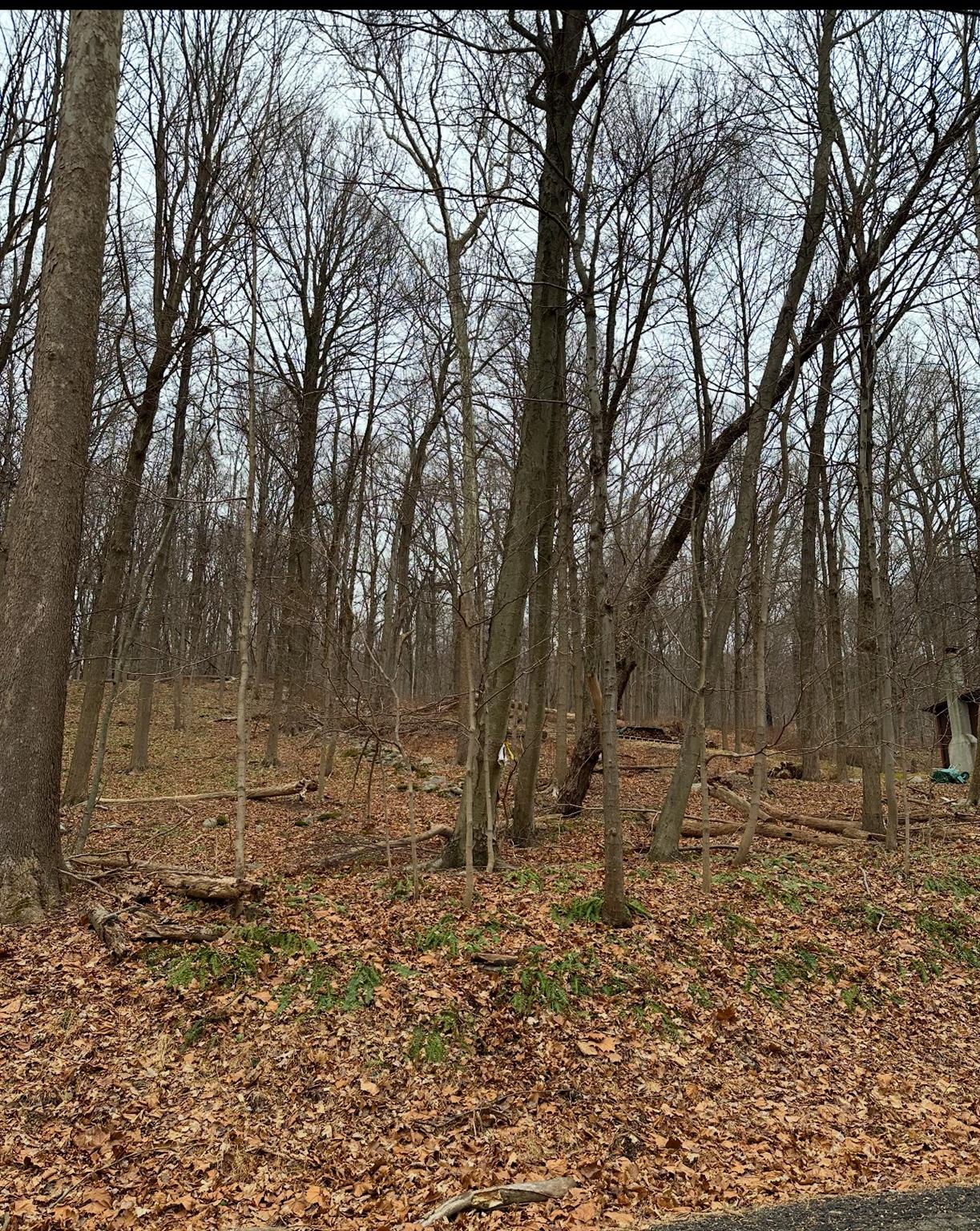 #2 photo, 12 Laura Lane, Hopewell Junction , NY 12533