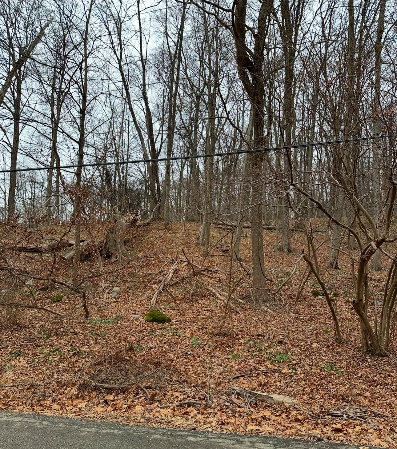 #4 photo, 12 Laura Lane, Hopewell Junction , NY 12533