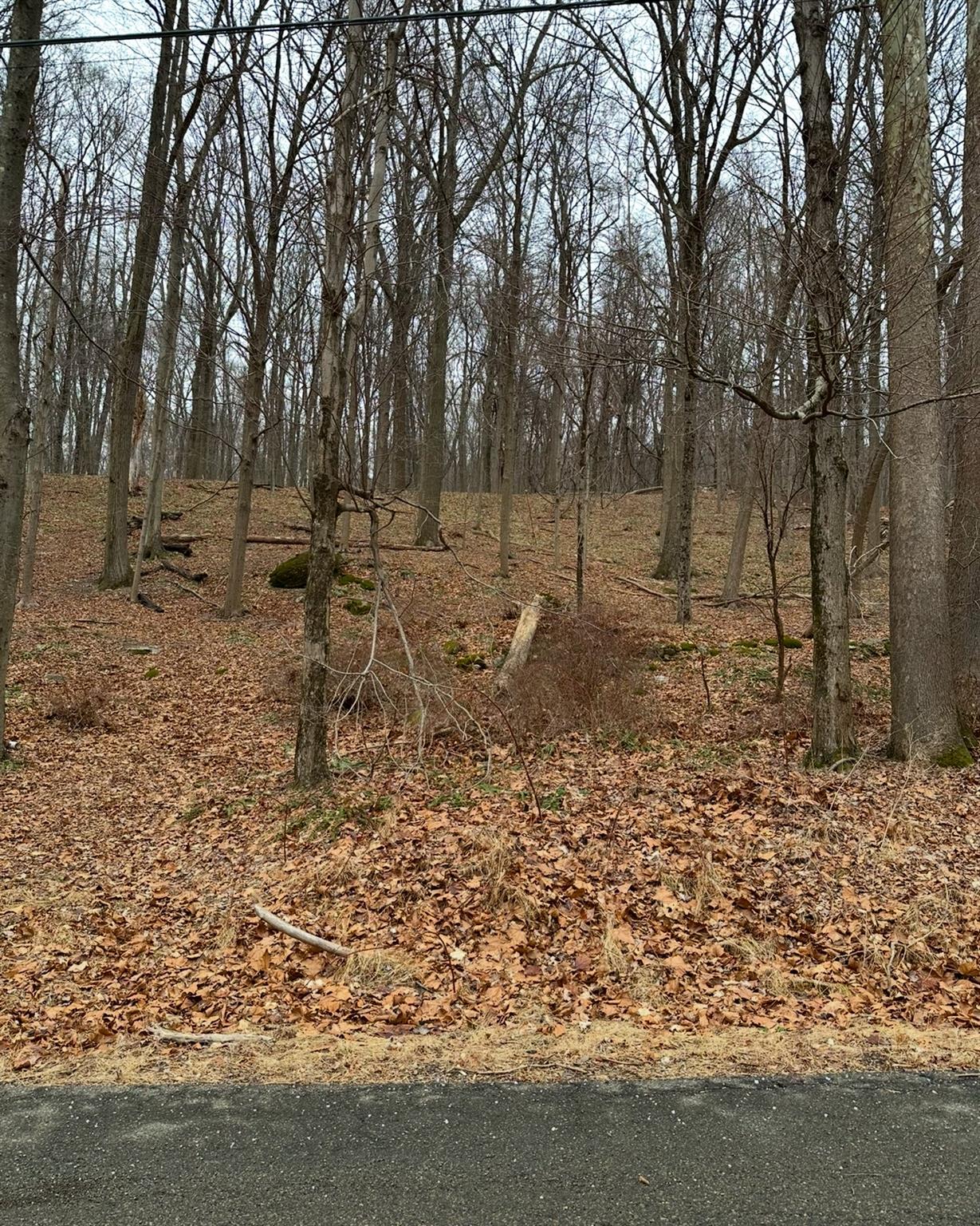 #2 photo, 16 Laura Lane, Hopewell Junction , NY 12533