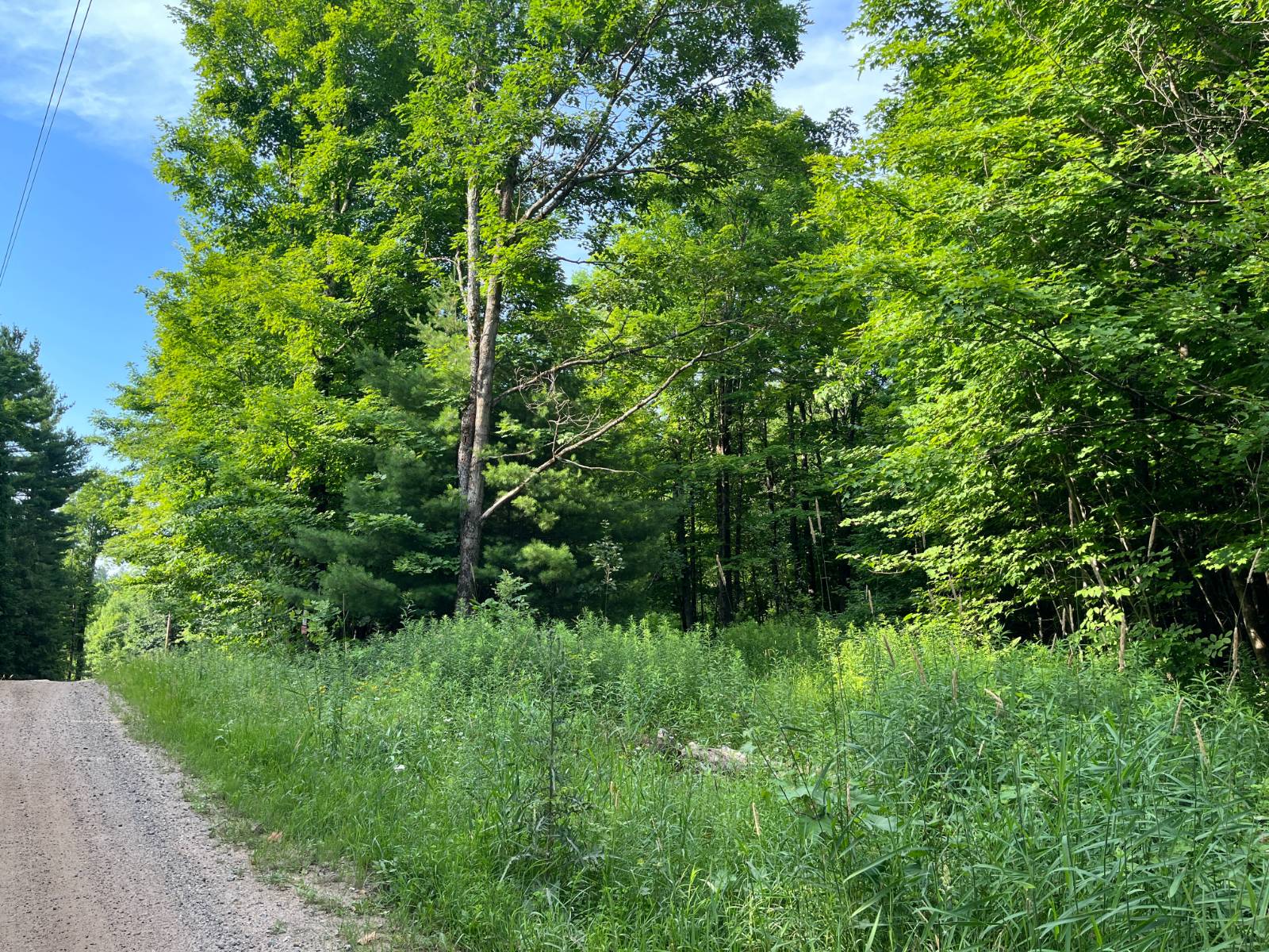 #10 photo, 00 Stone Rd, Pitcairn , NY 13648