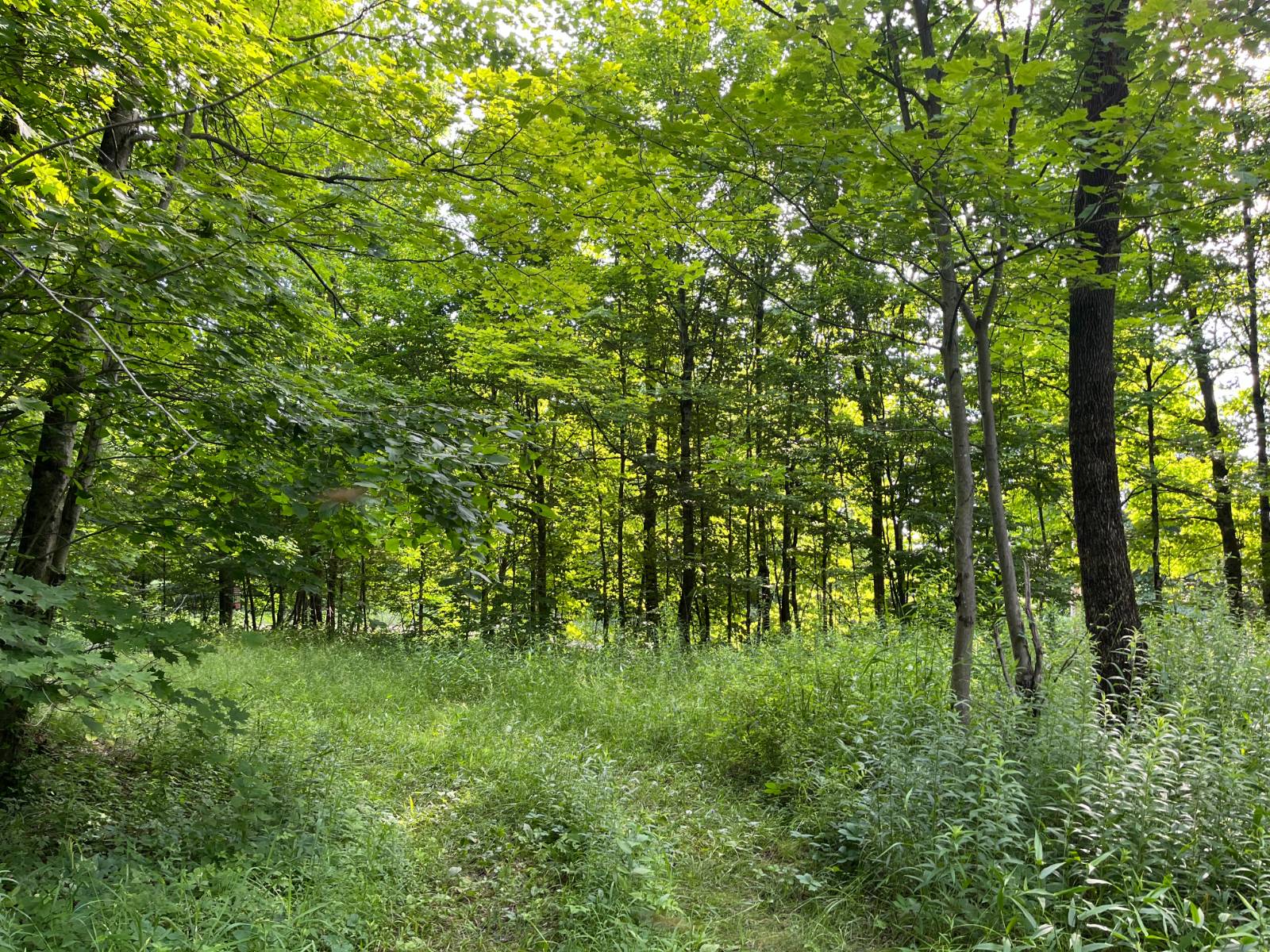 #11 photo, 00 Stone Rd, Pitcairn , NY 13648