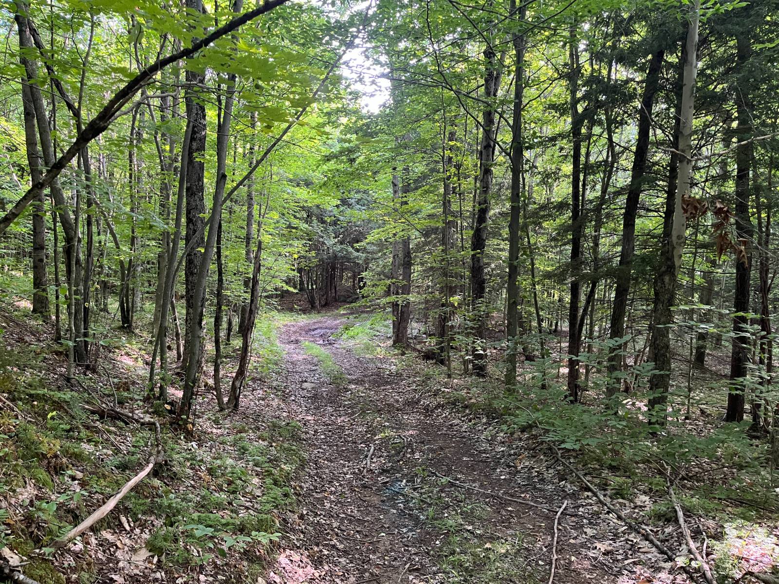 #12 photo, 00 Stone Rd, Pitcairn , NY 13648