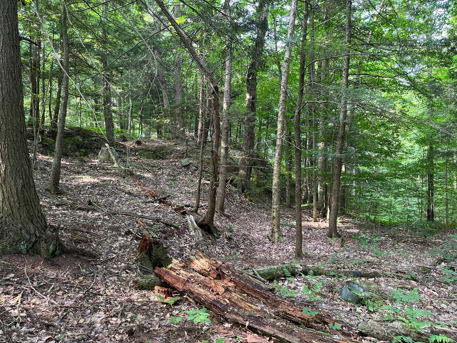 #18 photo, 00 Stone Rd, Pitcairn , NY 13648