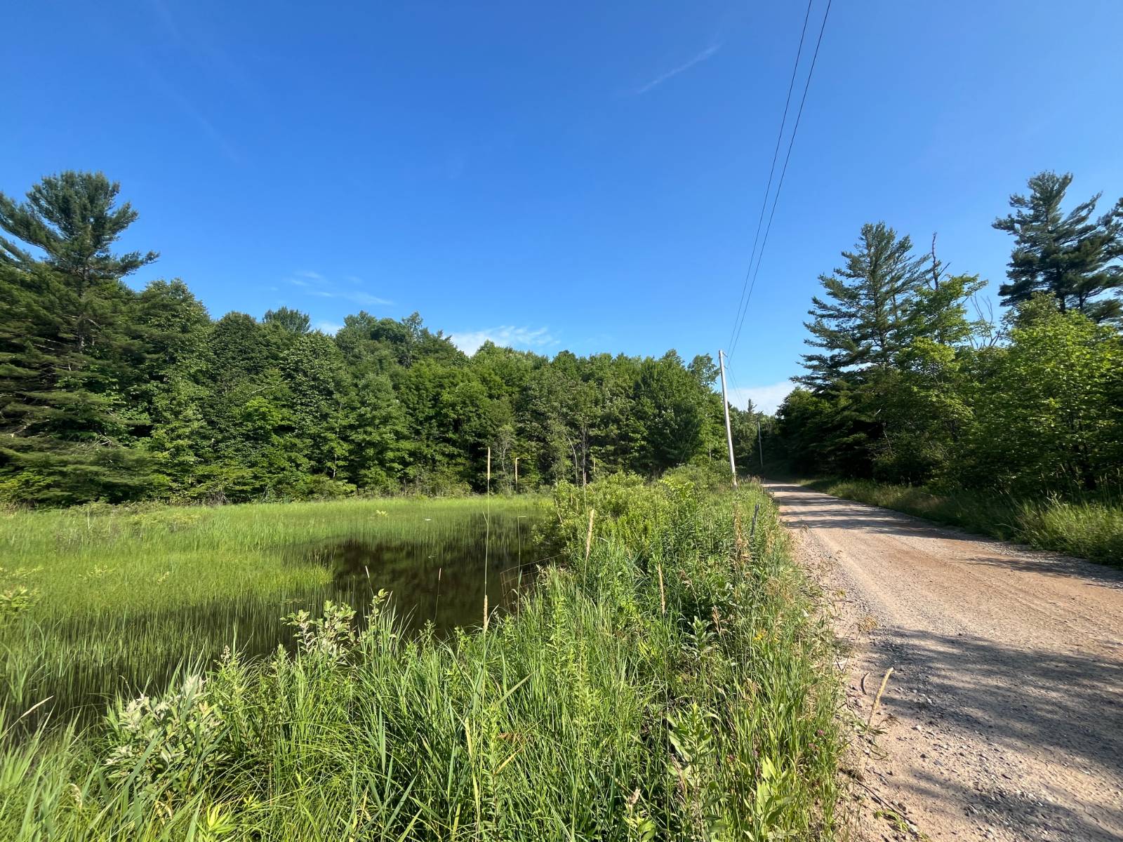 #2 photo, 00 Stone Rd, Pitcairn , NY 13648