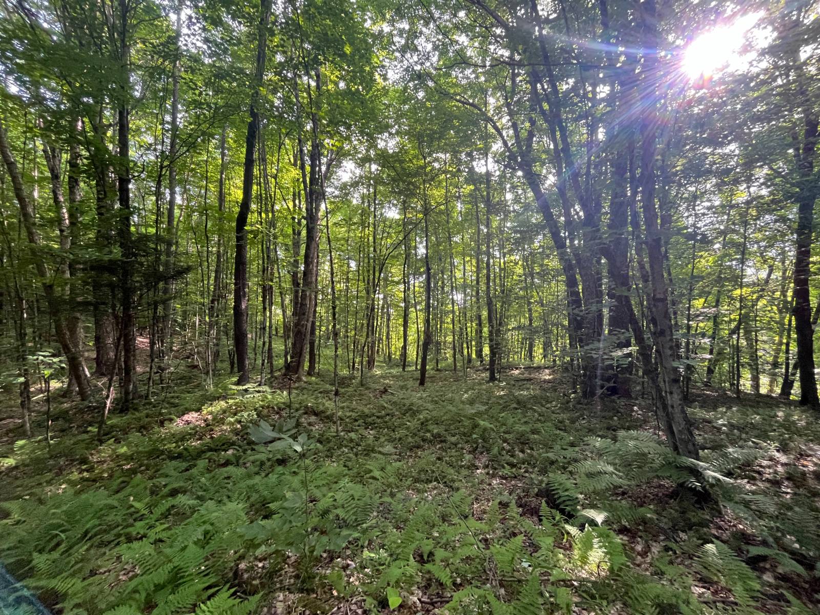 #3 photo, 00 Stone Rd, Pitcairn , NY 13648