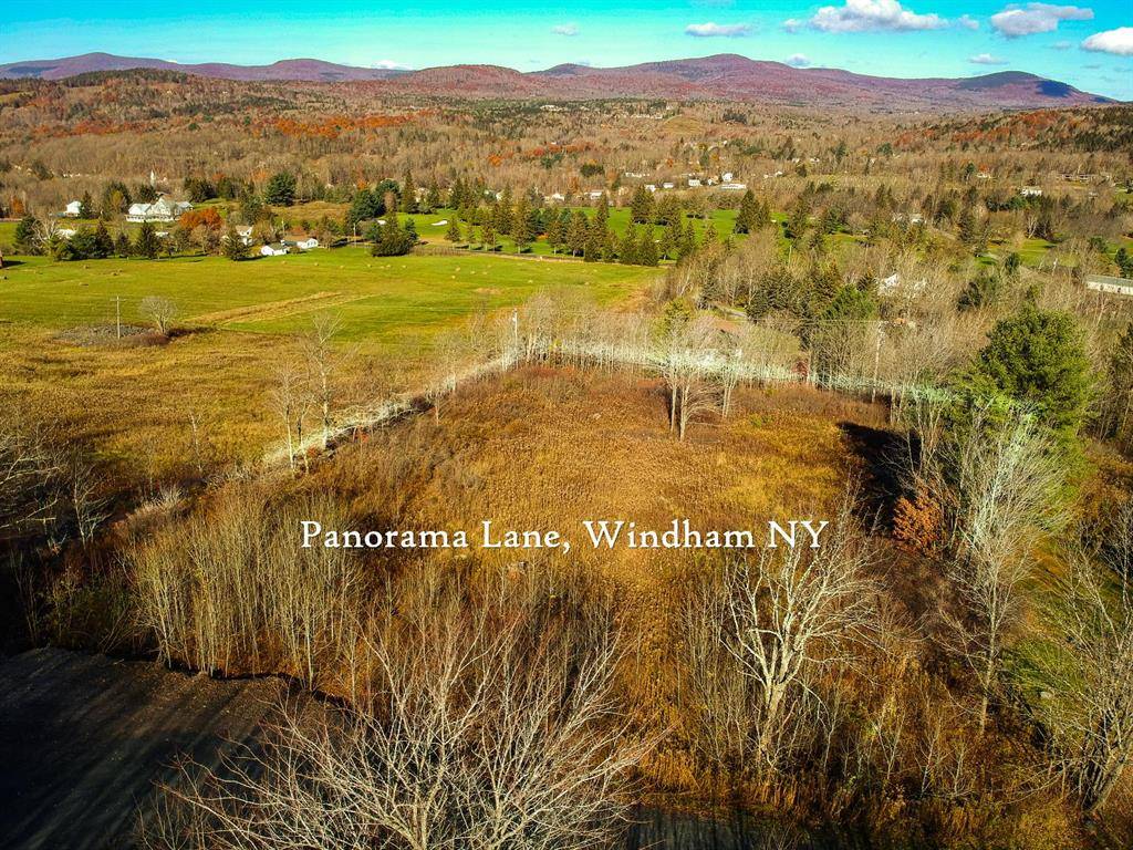 #8 photo, L37 Panarama Ln, Windham , NY 12496