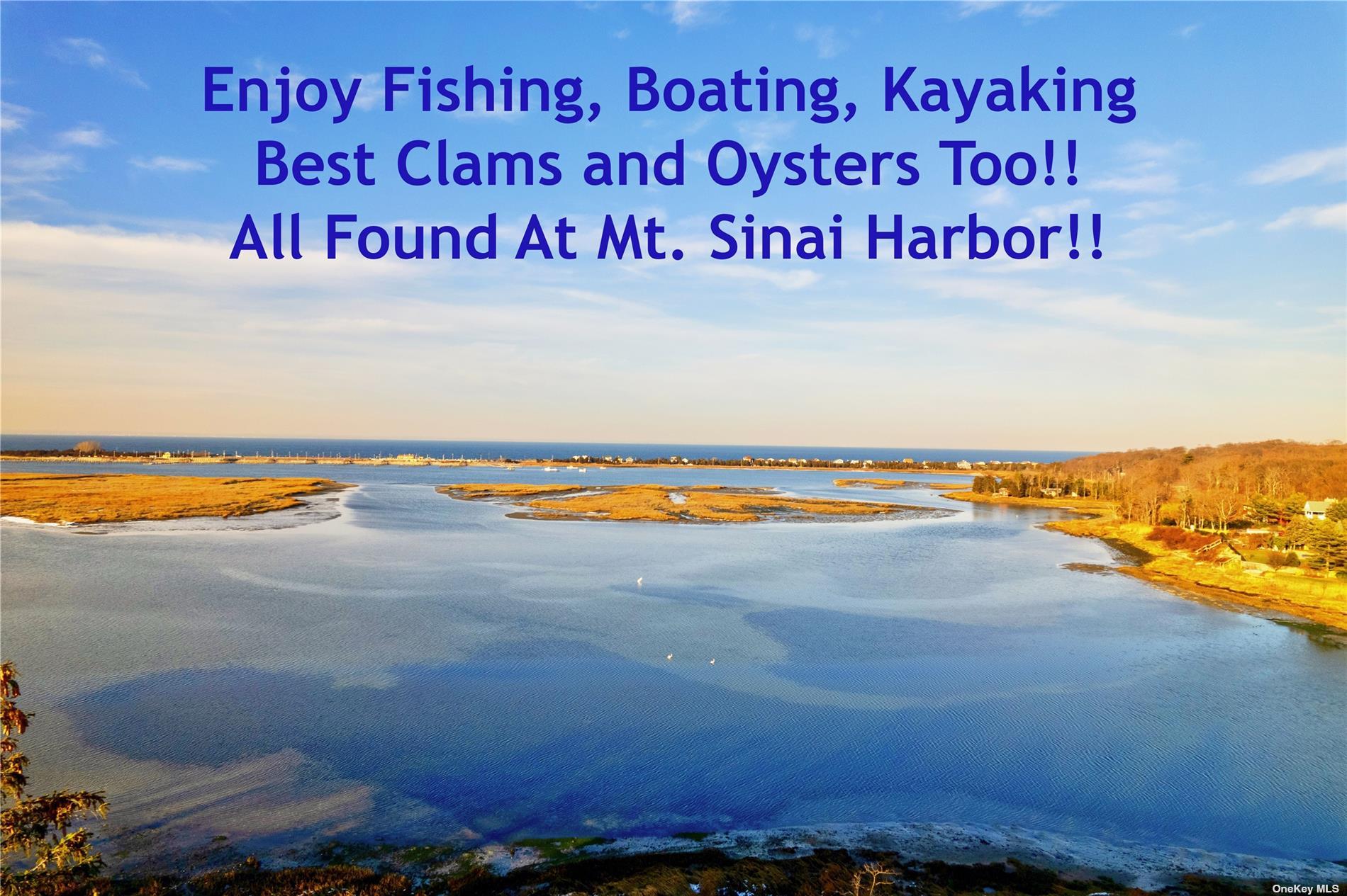 #4 photo, 225 Shore Road, サフォーク郡 Mount Sinai , NY 11766