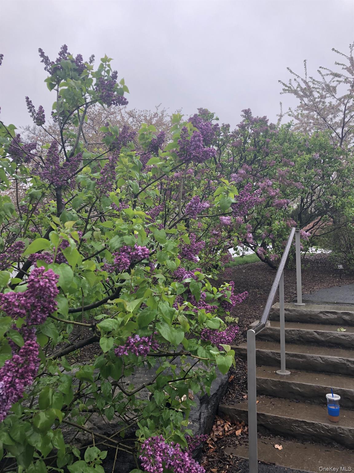 #13 photo, 2385 Barker Avenue, 布朗士 Bronx , NY 10467