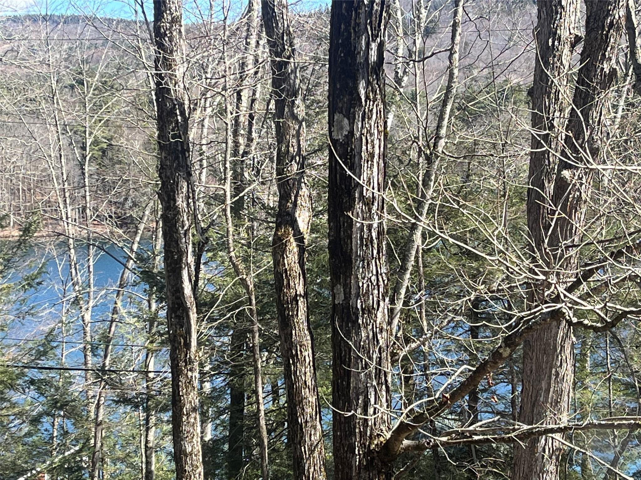 #7 photo, 105 McNamee Road, Canaan , NY 12029