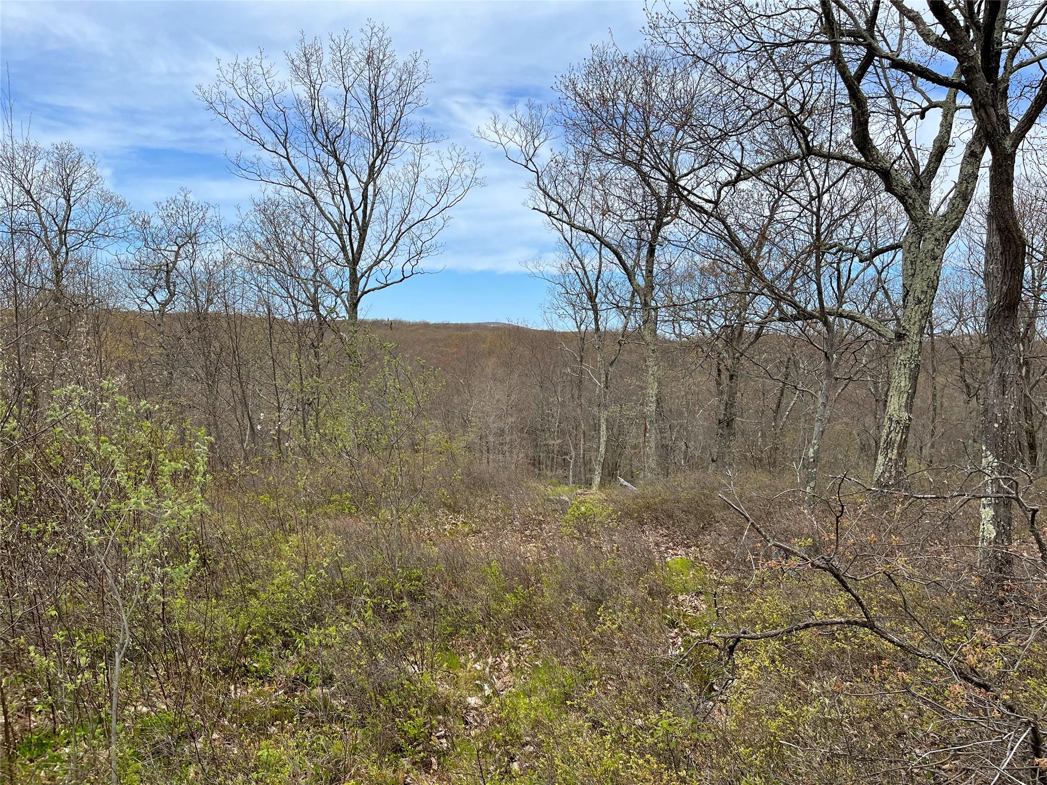 #3 photo, 554 East Mountain North Road, Cold Spring , NY 10516