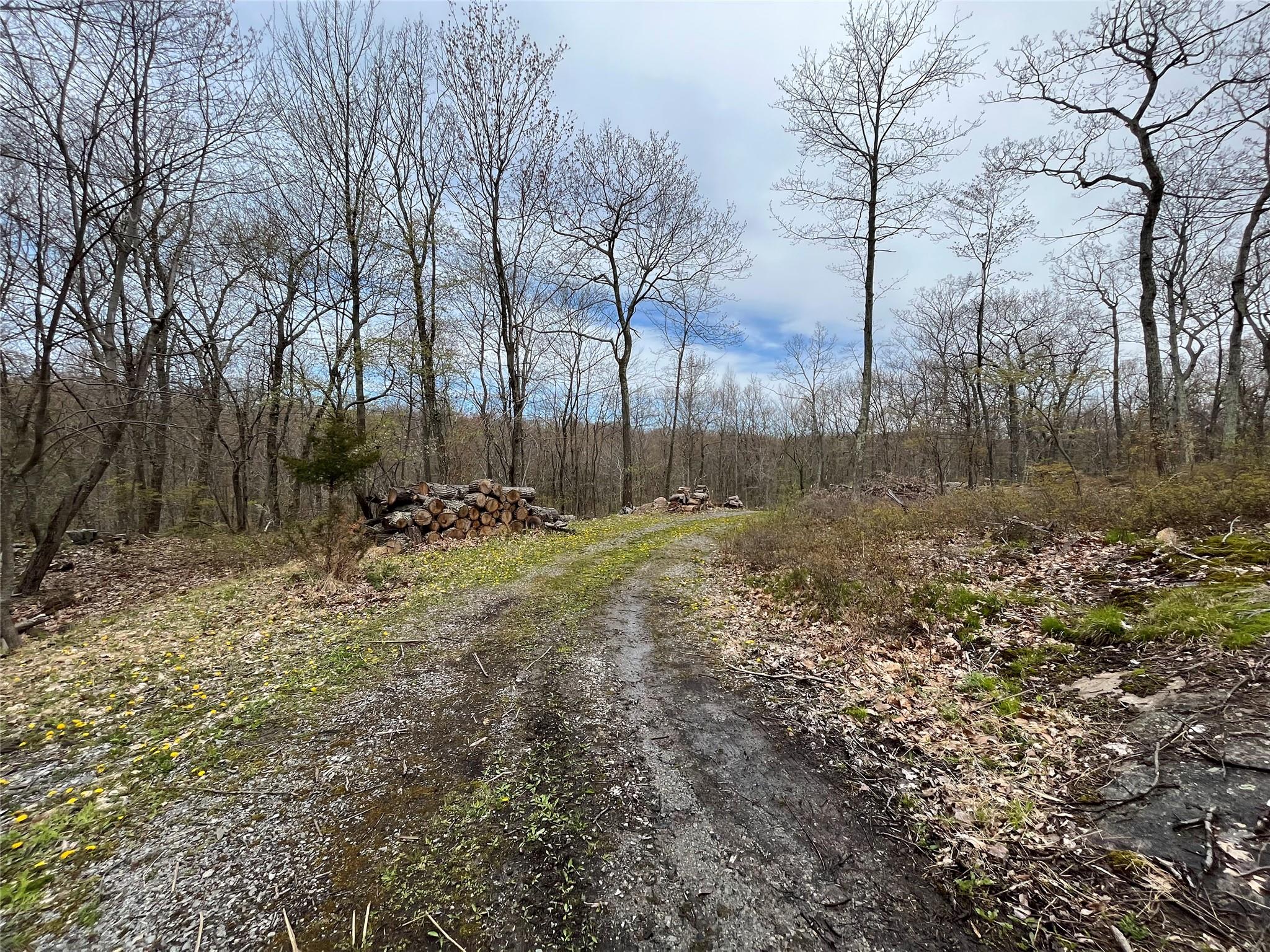 #4 photo, 554 East Mountain North Road, Cold Spring , NY 10516