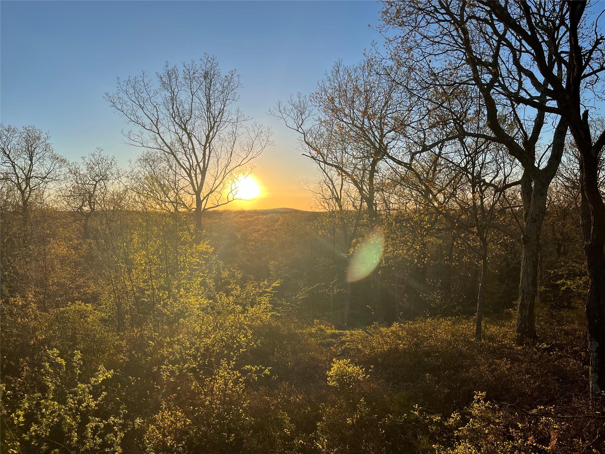 #7 photo, 554 East Mountain North Road, Cold Spring , NY 10516