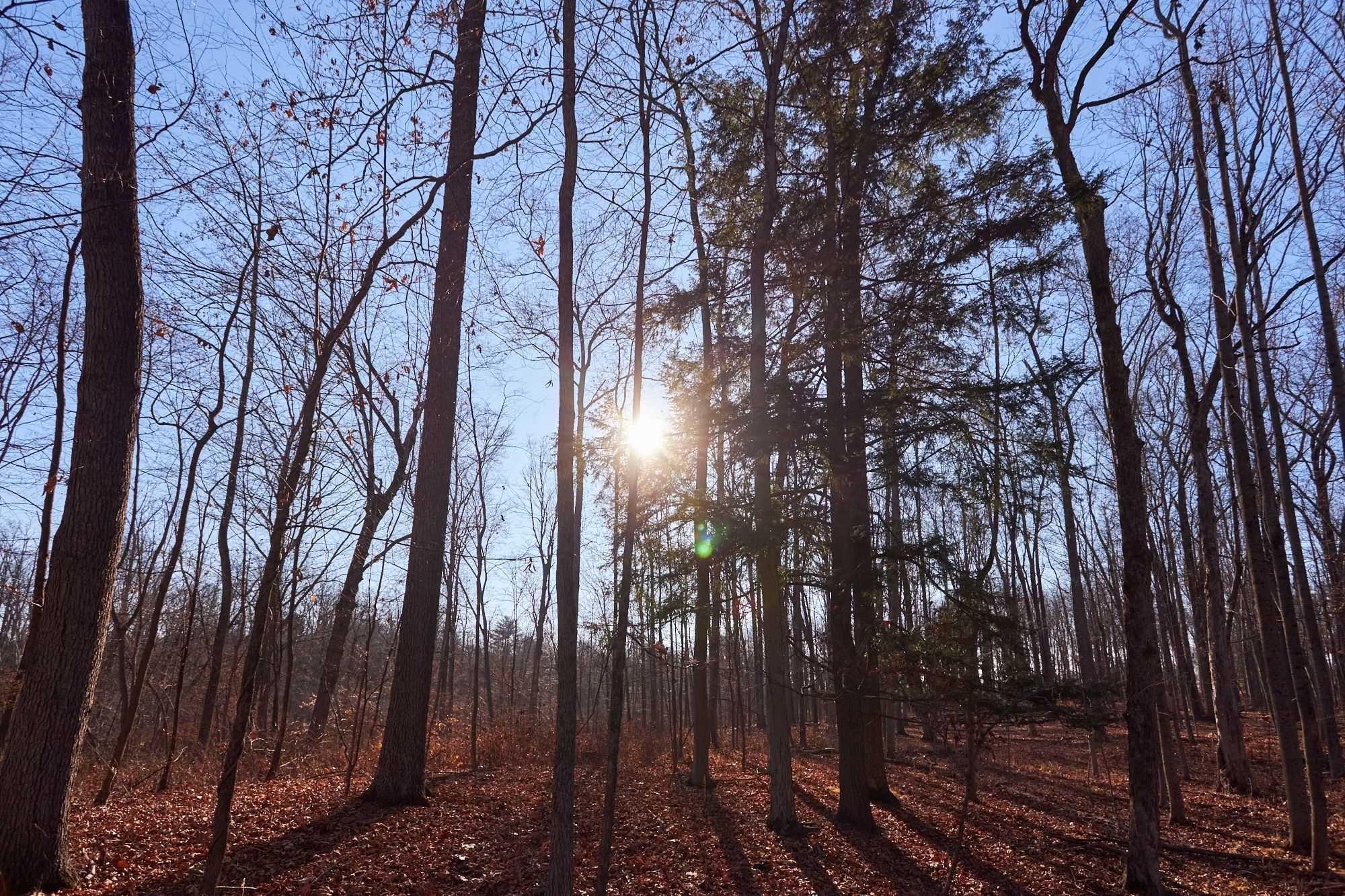 #12 photo, 471 CHURCH Avenue, Germantown , NY 12526