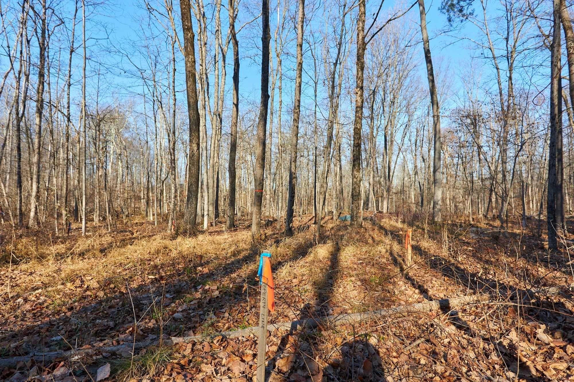 #6 photo, 471 CHURCH Avenue, Germantown , NY 12526