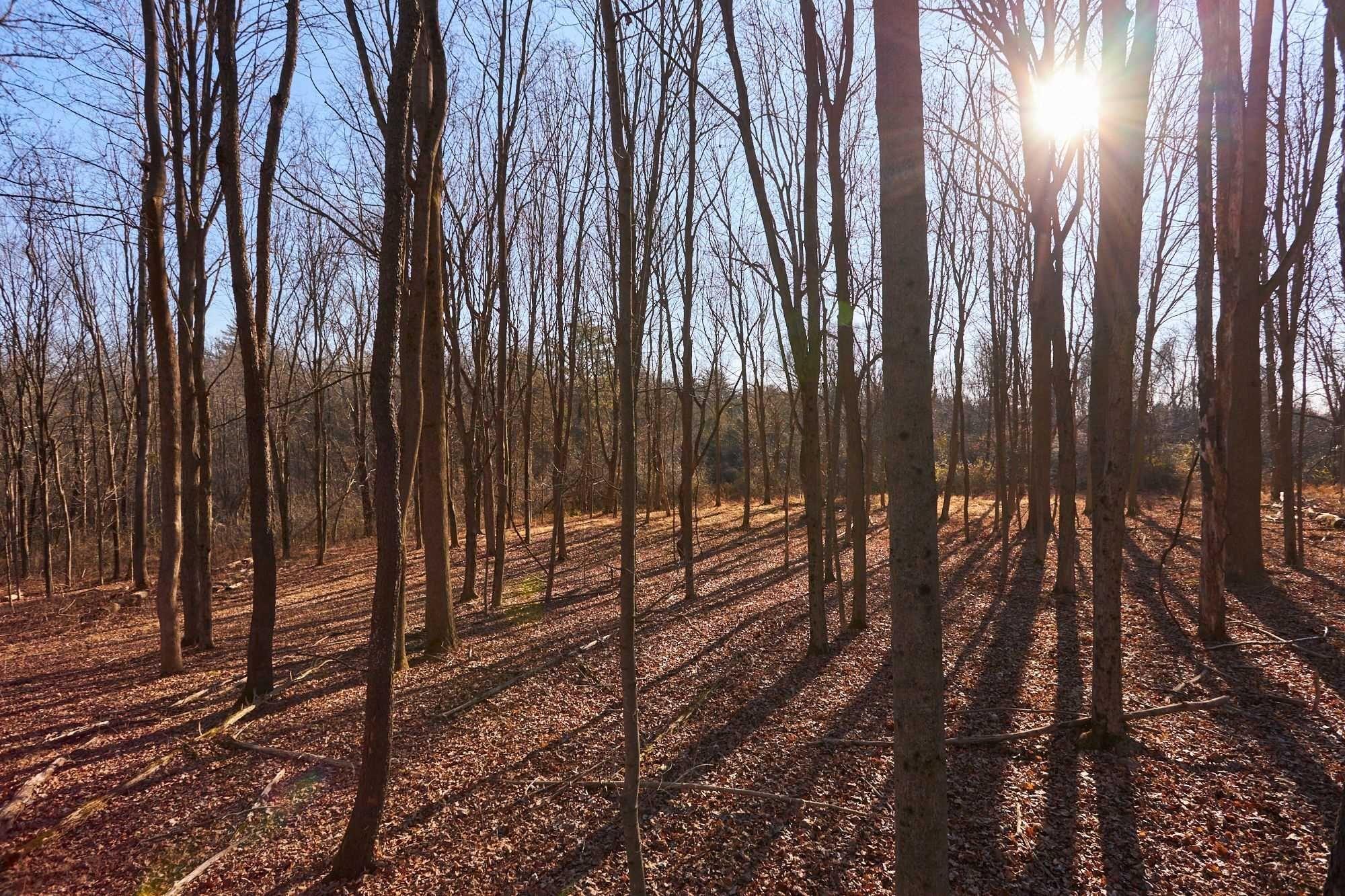 #8 photo, 471 CHURCH Avenue, Germantown , NY 12526