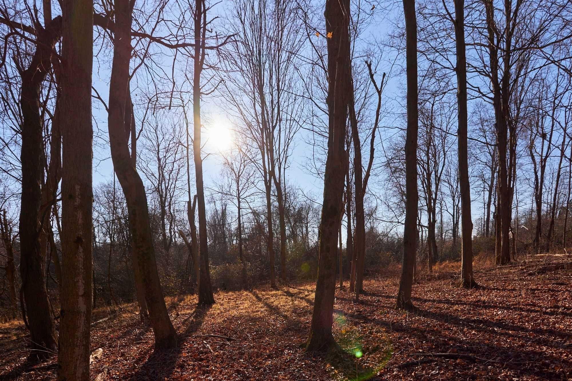 #10 photo, 471 CHURCH Avenue, Germantown , NY 12526