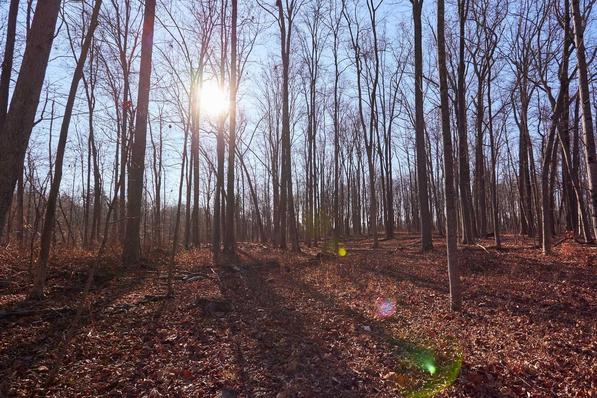 #11 photo, 471 CHURCH Avenue, Germantown , NY 12526