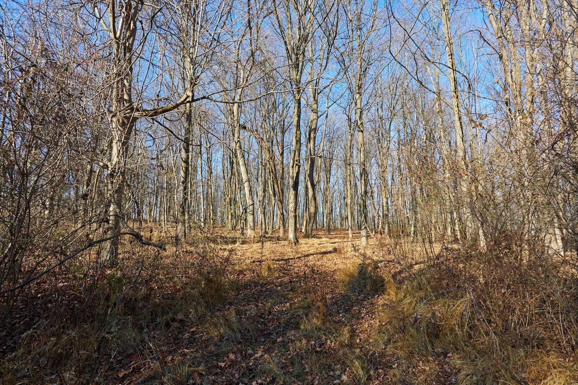 #4 photo, 471 CHURCH Avenue, Germantown , NY 12526