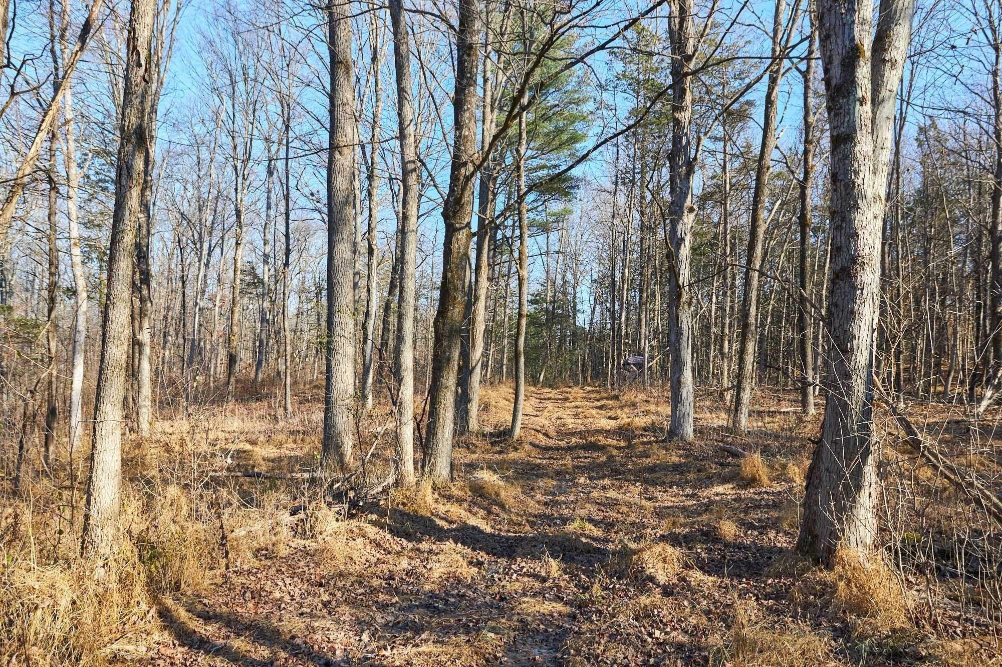 #5 photo, 471 CHURCH Avenue, Germantown , NY 12526