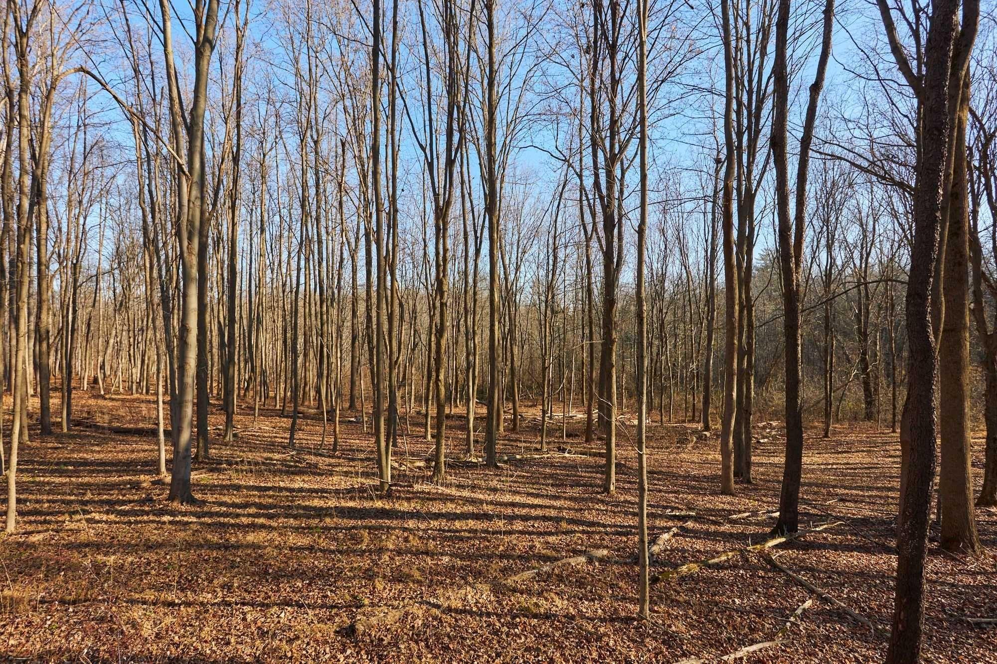 #6 photo, 471 CHURCH Avenue, Germantown , NY 12526