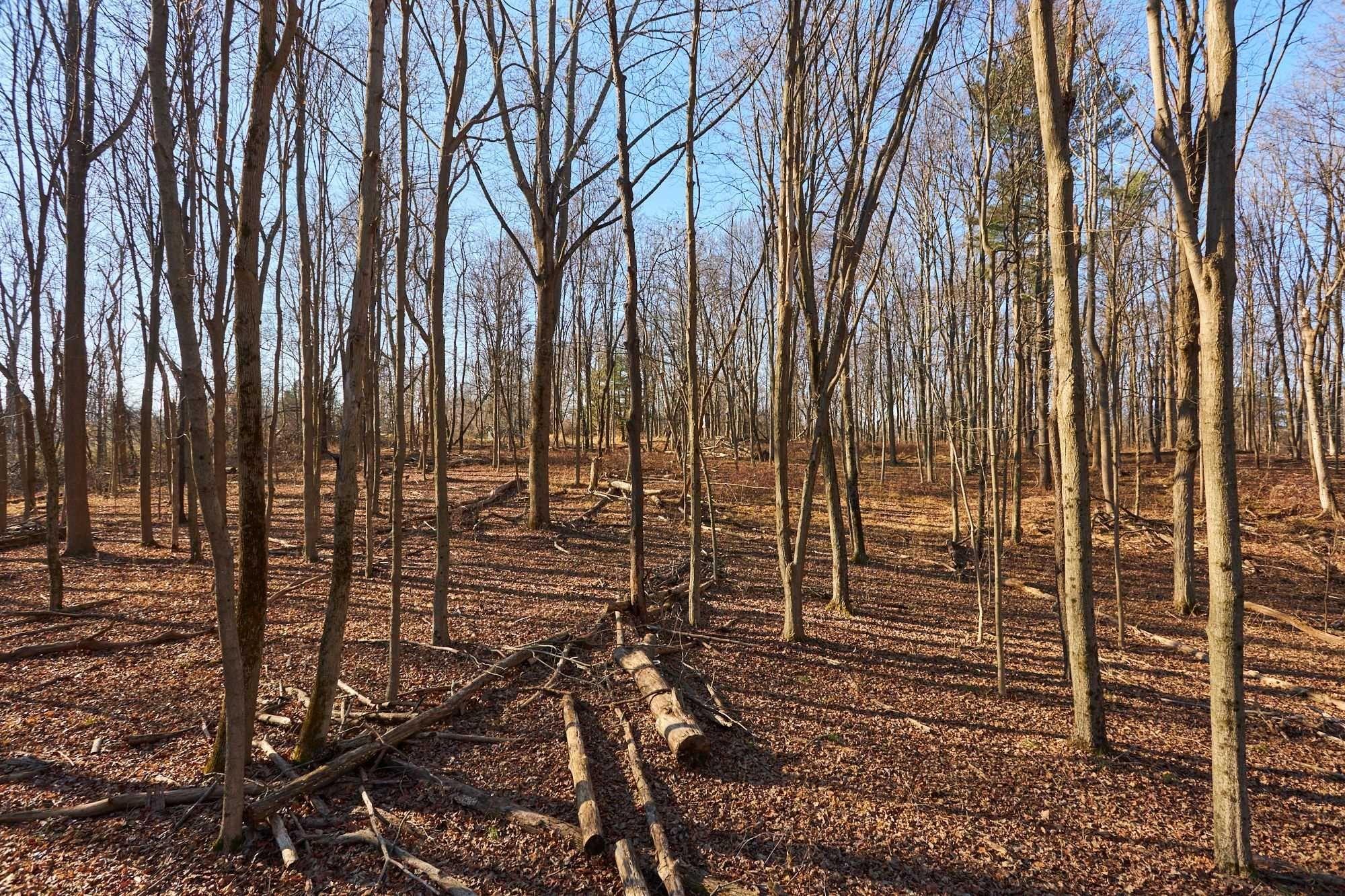 #9 photo, 471 CHURCH Avenue, Germantown , NY 12526