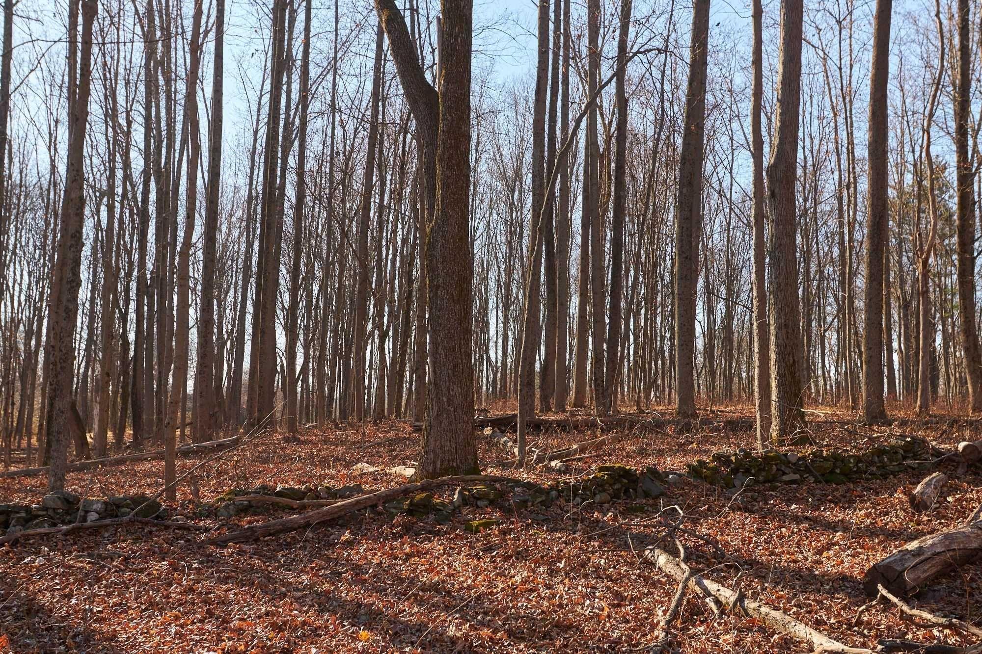 #9 photo, 471 CHURCH Avenue, Germantown , NY 12526