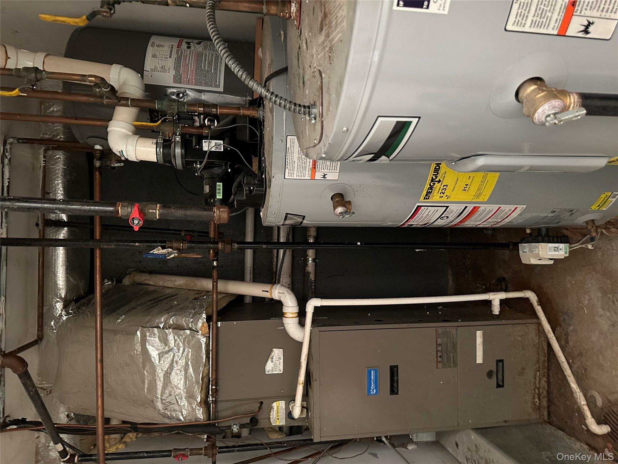 #13 photo, 807 Barbey, ブルックリン区 Brooklyn , NY 11207