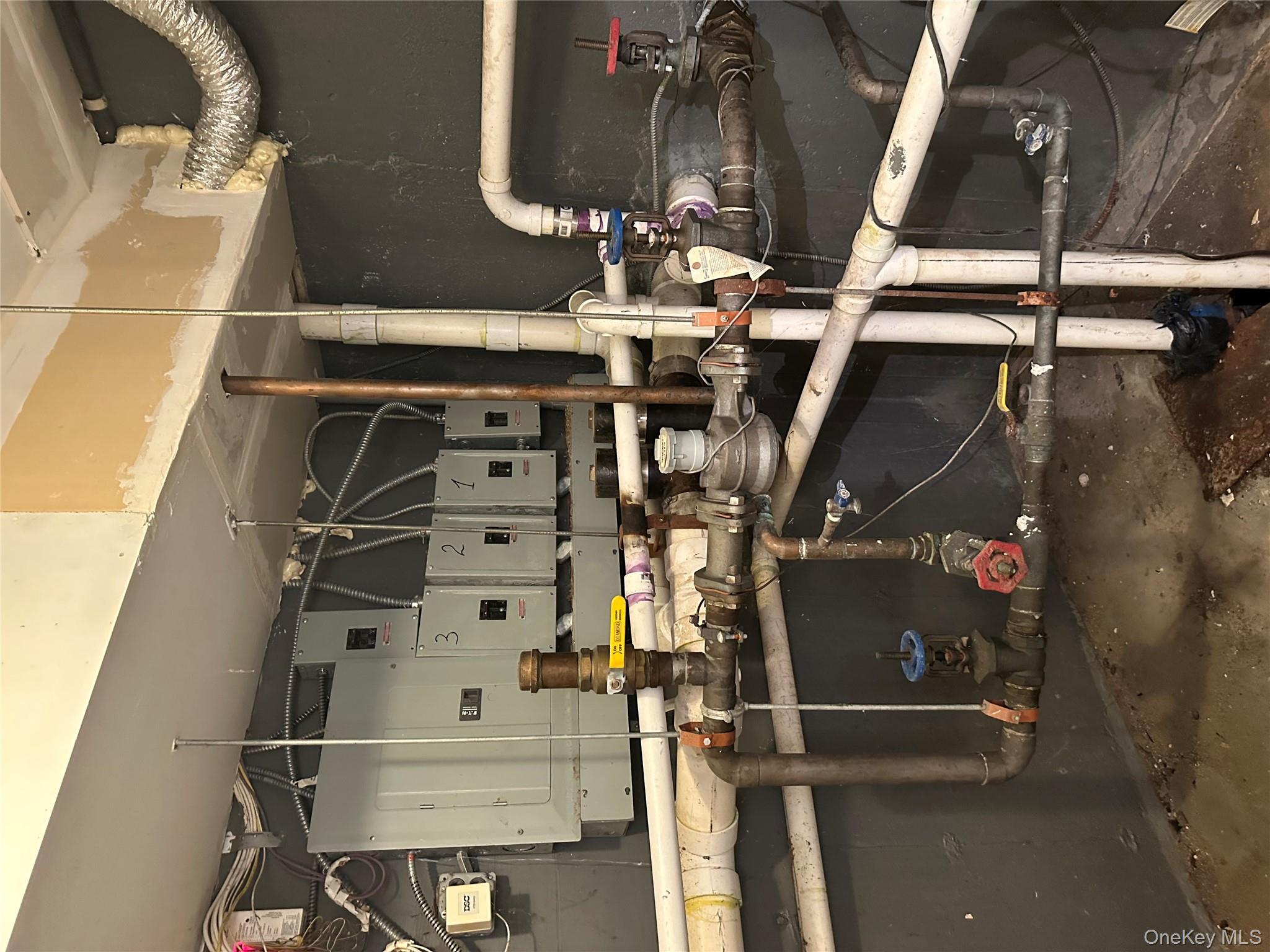 #14 photo, 807 Barbey, ブルックリン区 Brooklyn , NY 11207