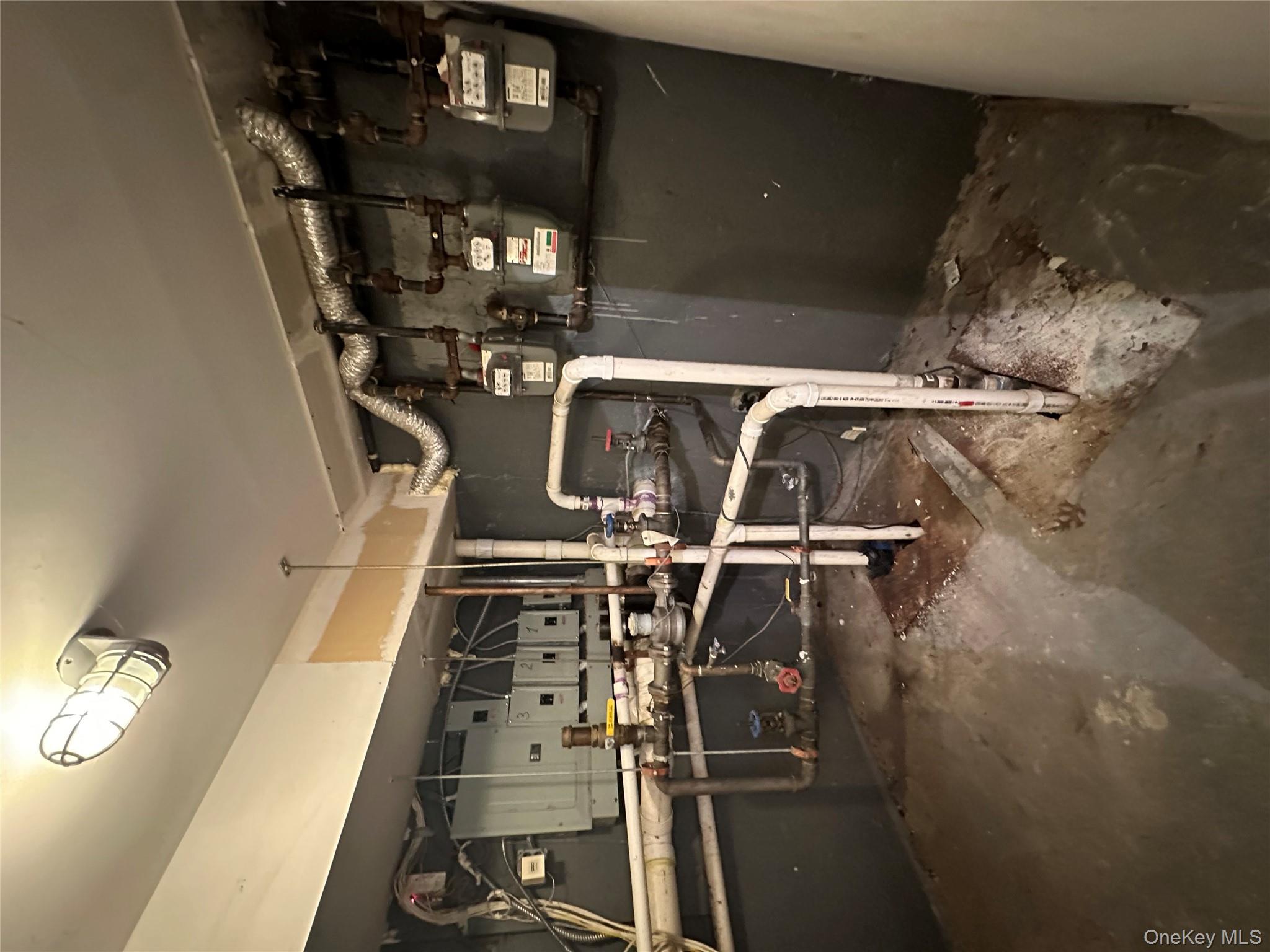 #15 photo, 807 Barbey, ブルックリン区 Brooklyn , NY 11207