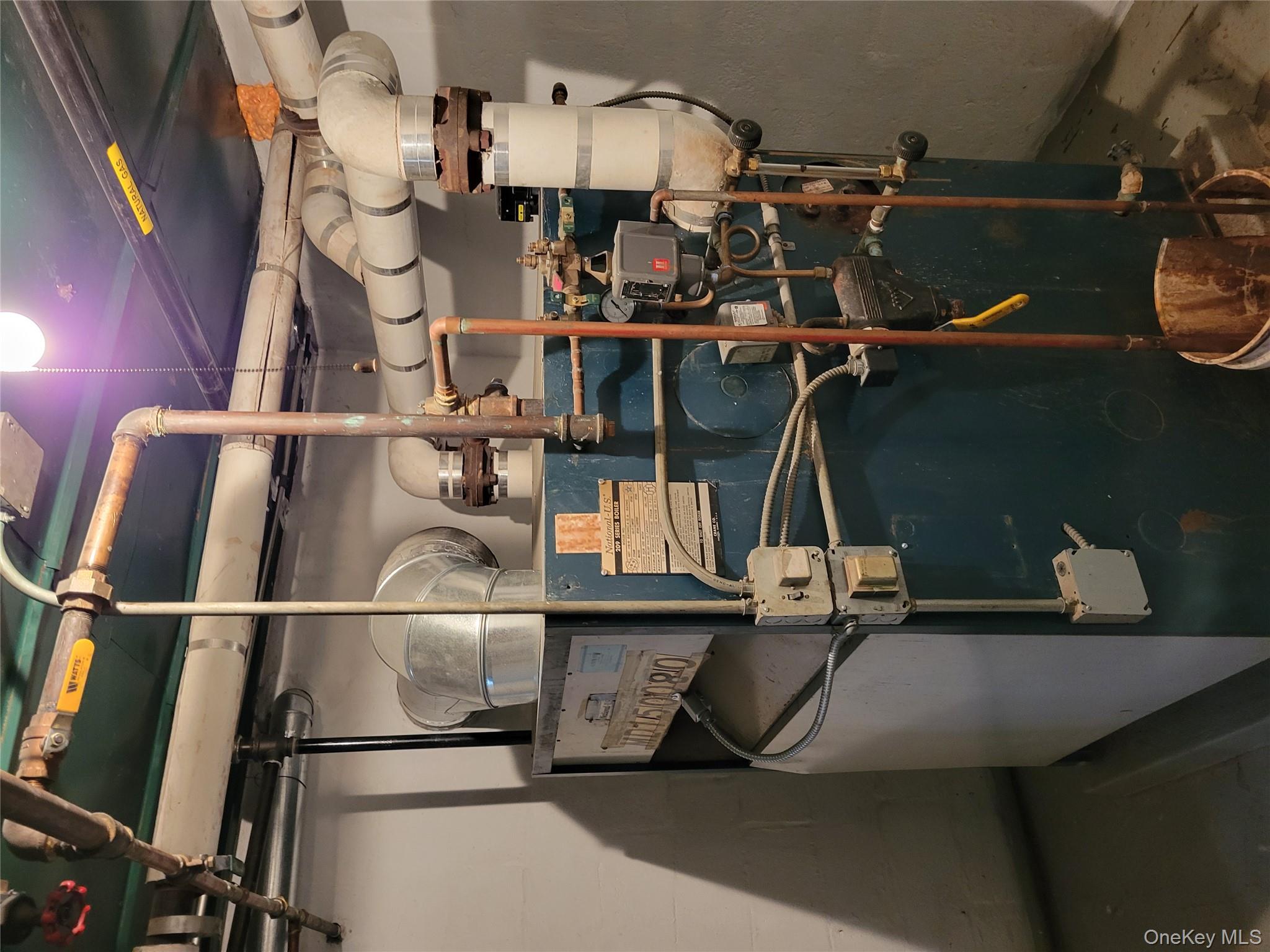 #8 photo, 18-58 Cornelia Street, Ridgewood , NY 11385