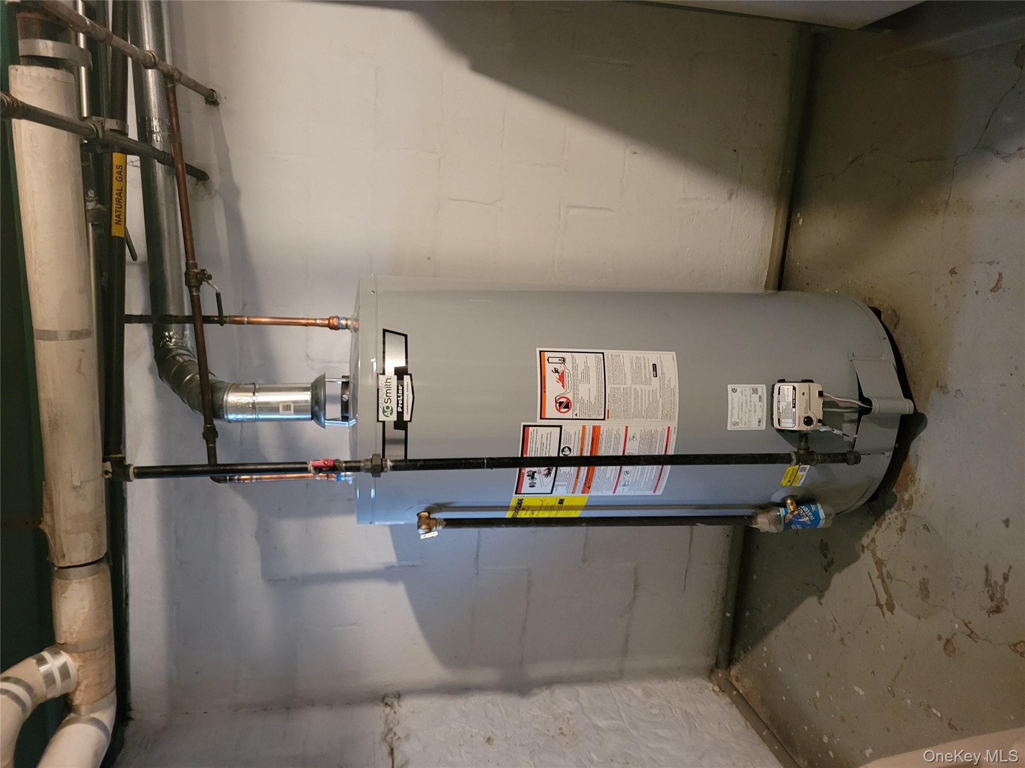 #9 photo, 18-58 Cornelia Street, Ridgewood , NY 11385