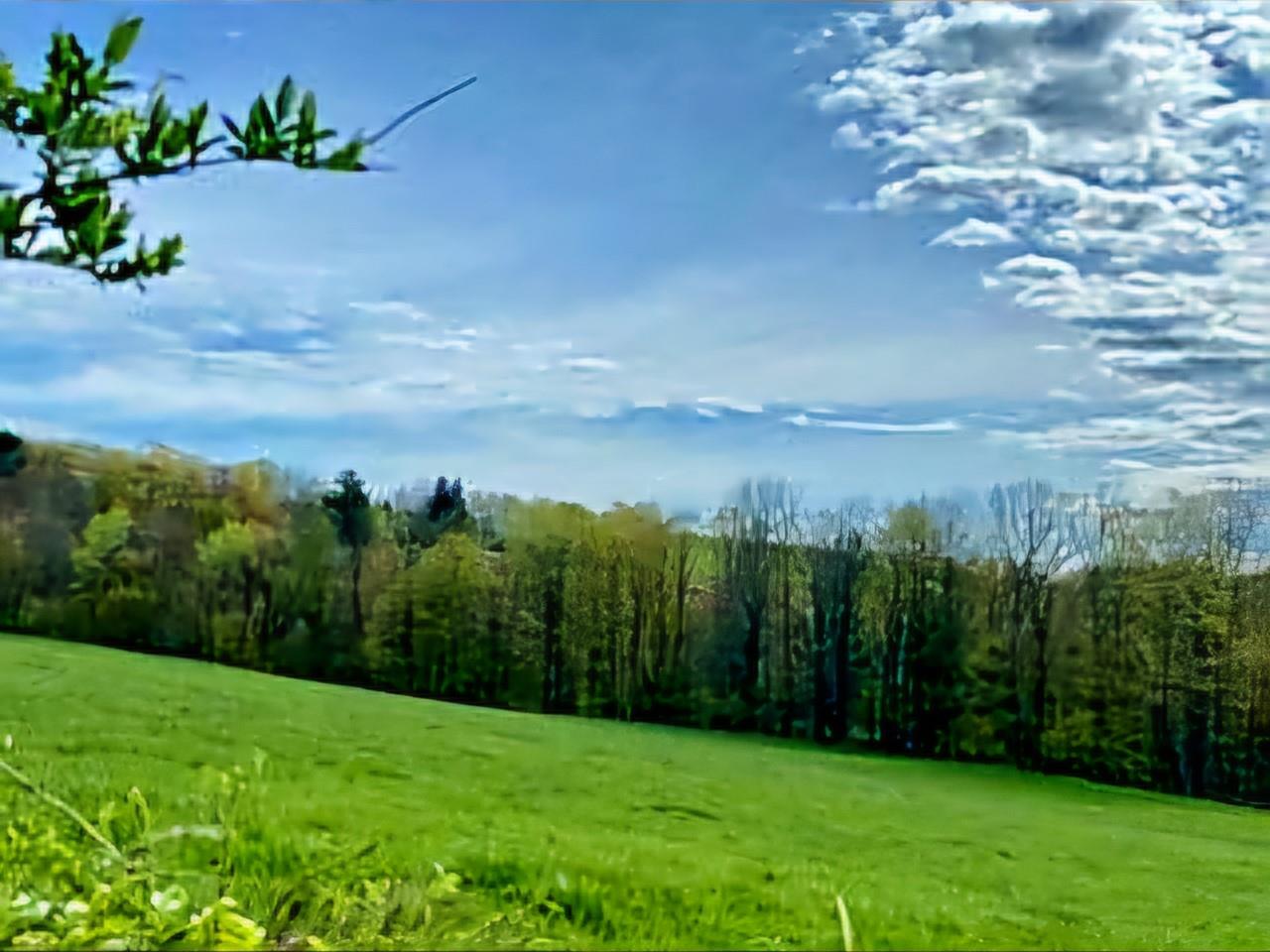 #1 photo, Dyker Road Dyker Road, 紐約州 Jeffersonville , NY 12766
