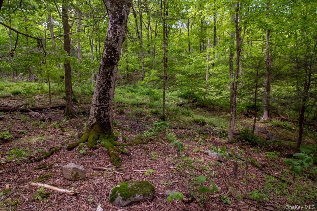 #4 photo, 58 Cottage Court, West Park , NY 12493