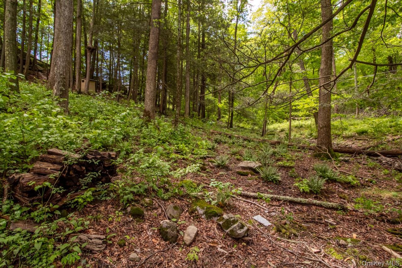 #5 photo, 58 Cottage Court, West Park , NY 12493