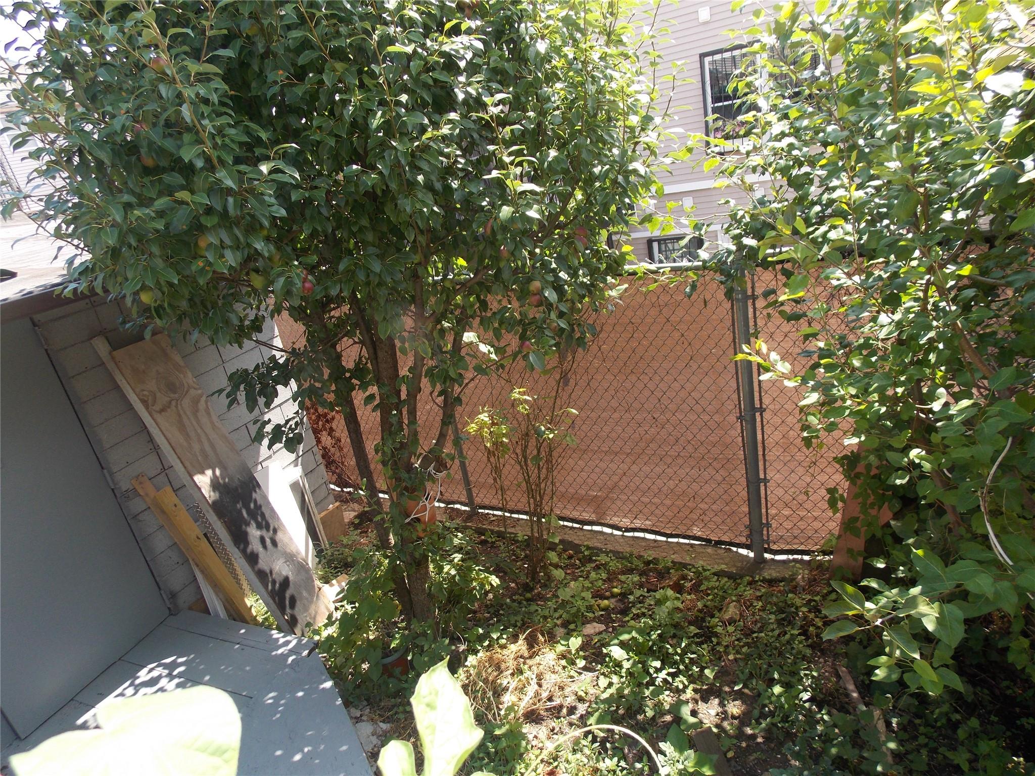 #6 photo, 770 Jackson Ave., برونكس Bronx , NY 10456