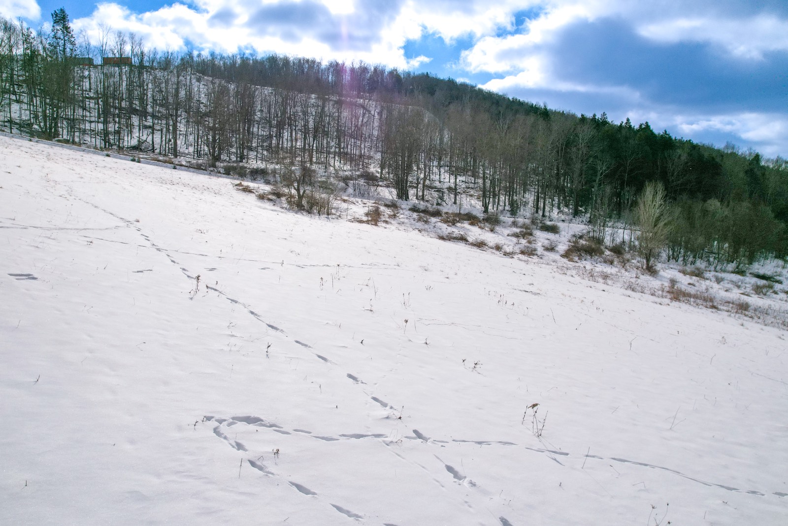 #10 photo, 100 W Judd Rd, Windsor , NY 13865