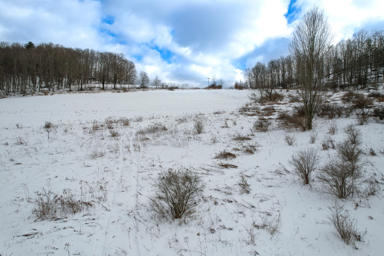 #12 photo, 100 W Judd Rd, Windsor , NY 13865