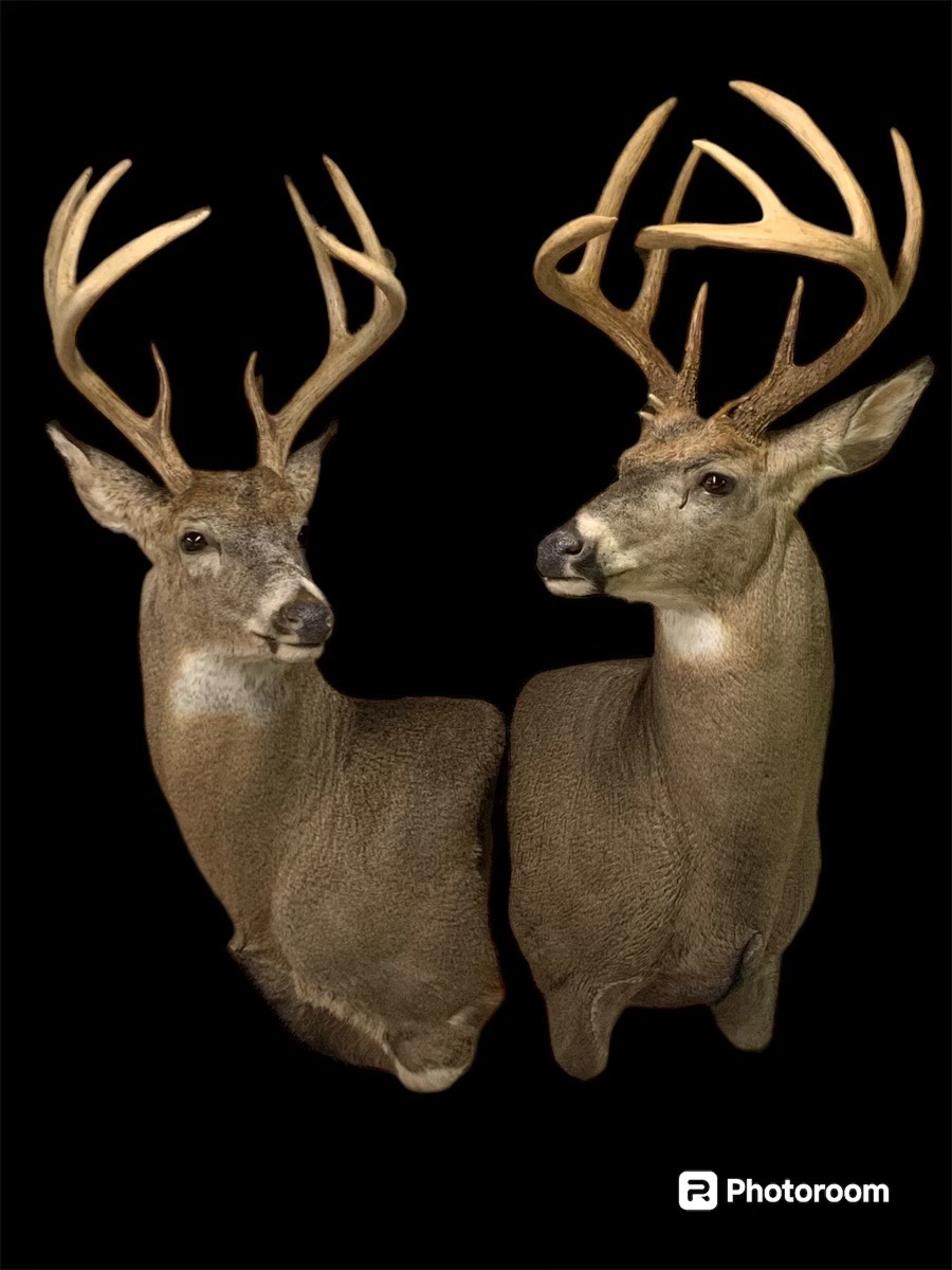 #15 photo, 100 W Judd Rd, Windsor , NY 13865