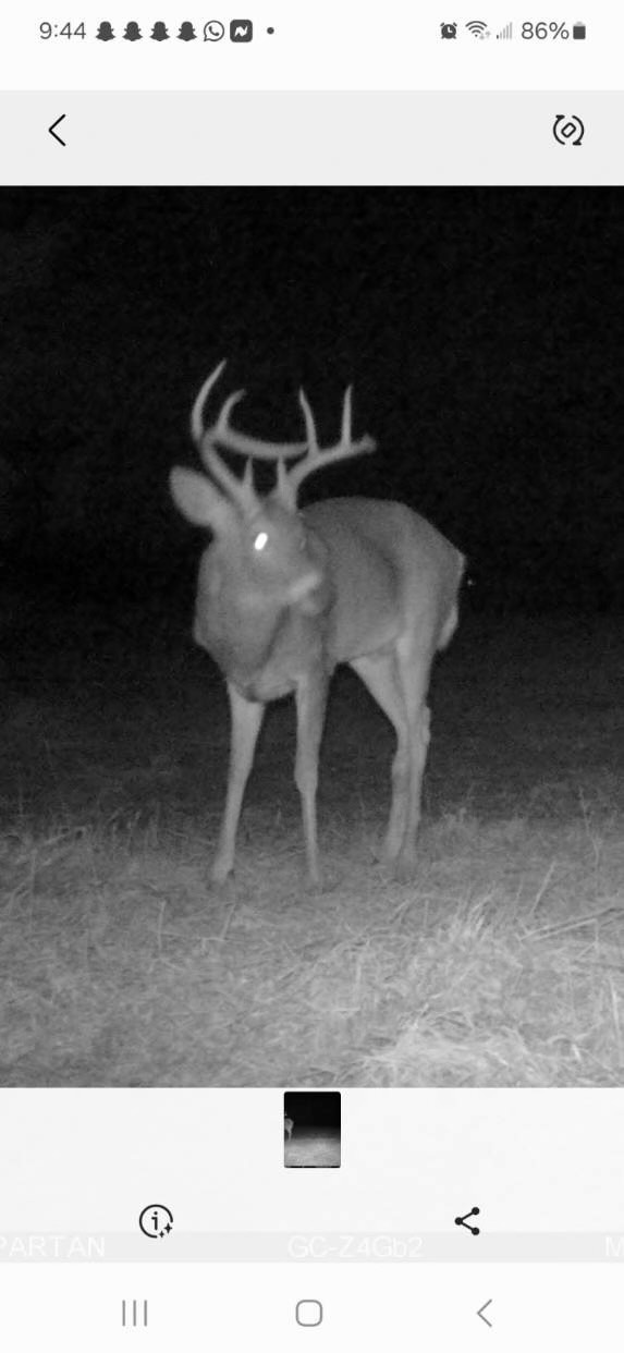 #16 photo, 100 W Judd Rd, Windsor , NY 13865