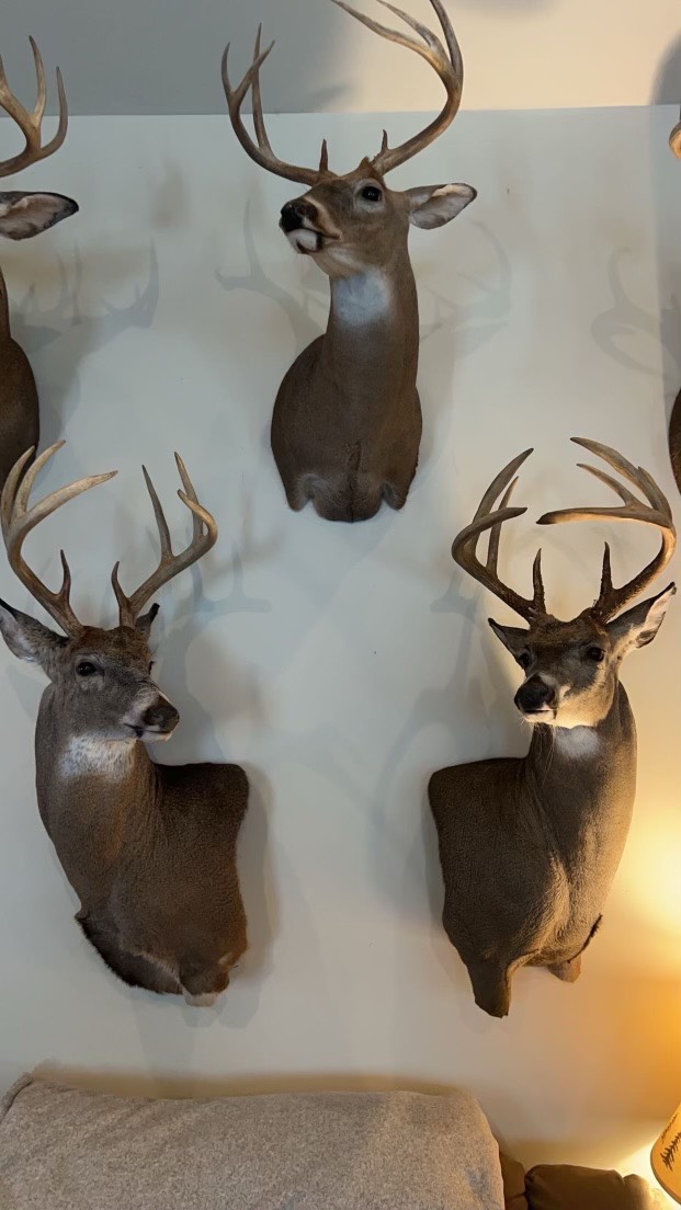 #6 photo, 100 W Judd Rd, Windsor , NY 13865