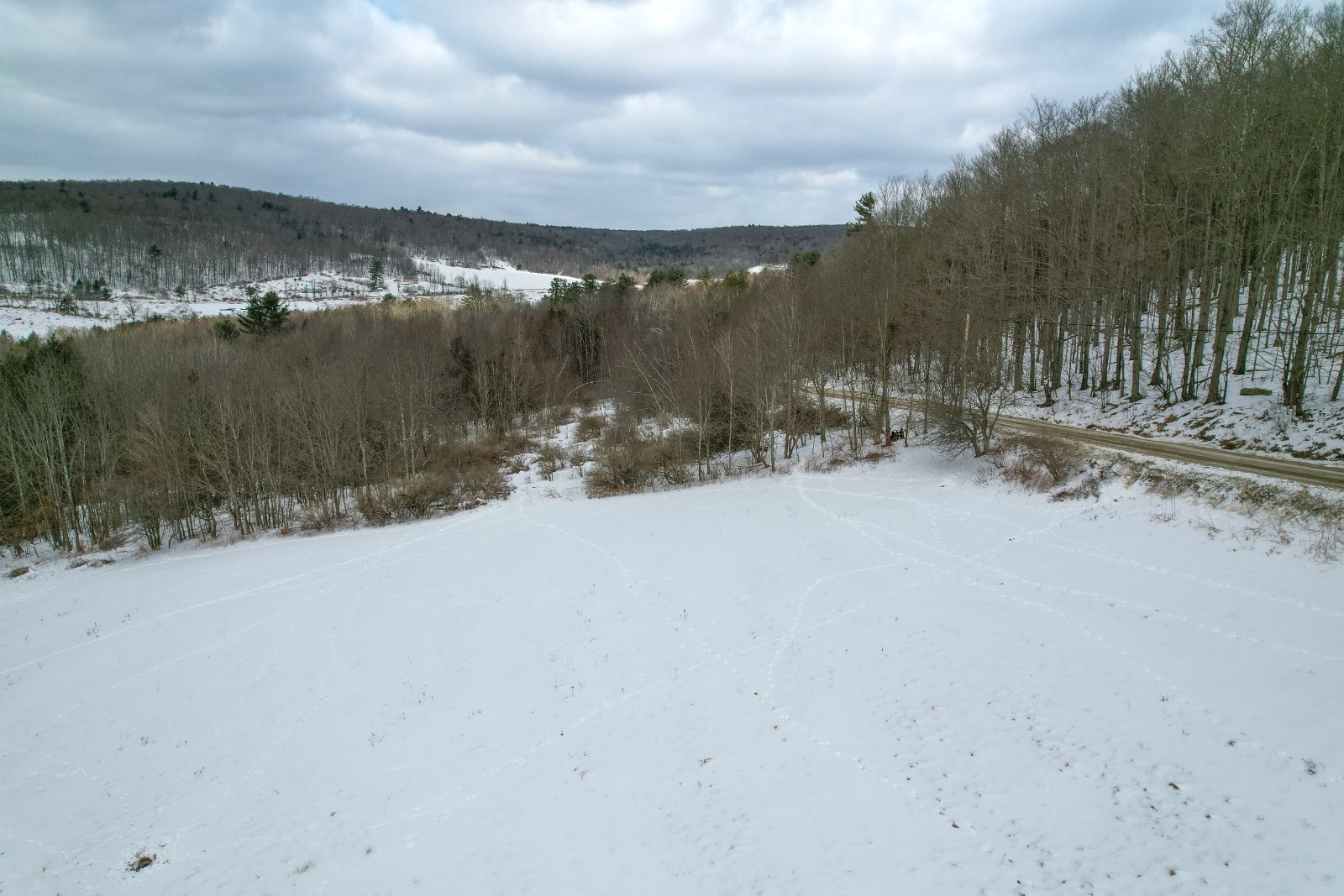 #8 photo, 100 W Judd Rd, Windsor , NY 13865