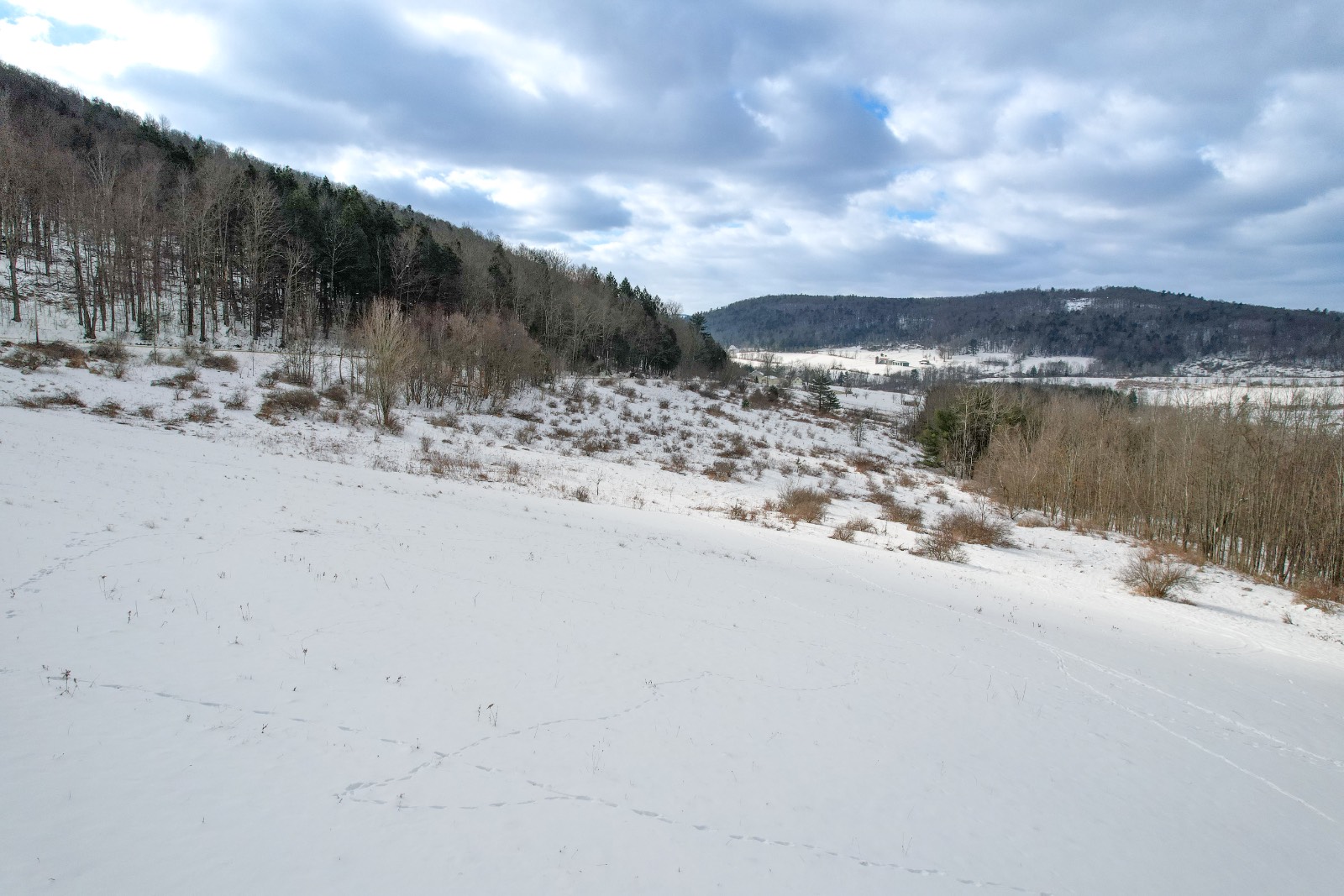 #9 photo, 100 W Judd Rd, Windsor , NY 13865