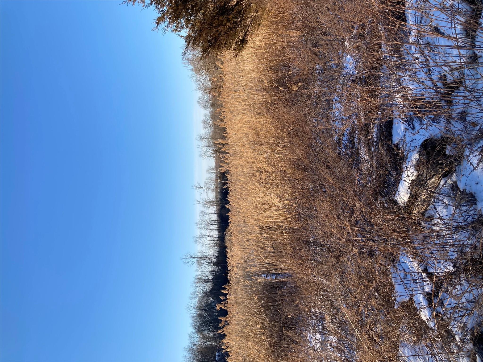 #6 photo, 50 Police Drive, Goshen , NY 10924