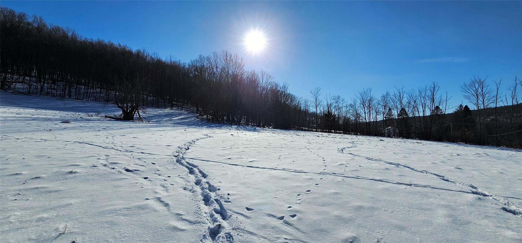 #10 photo, Lot 7.4 Hankins Road, 纽约州 Hankins , NY 12736